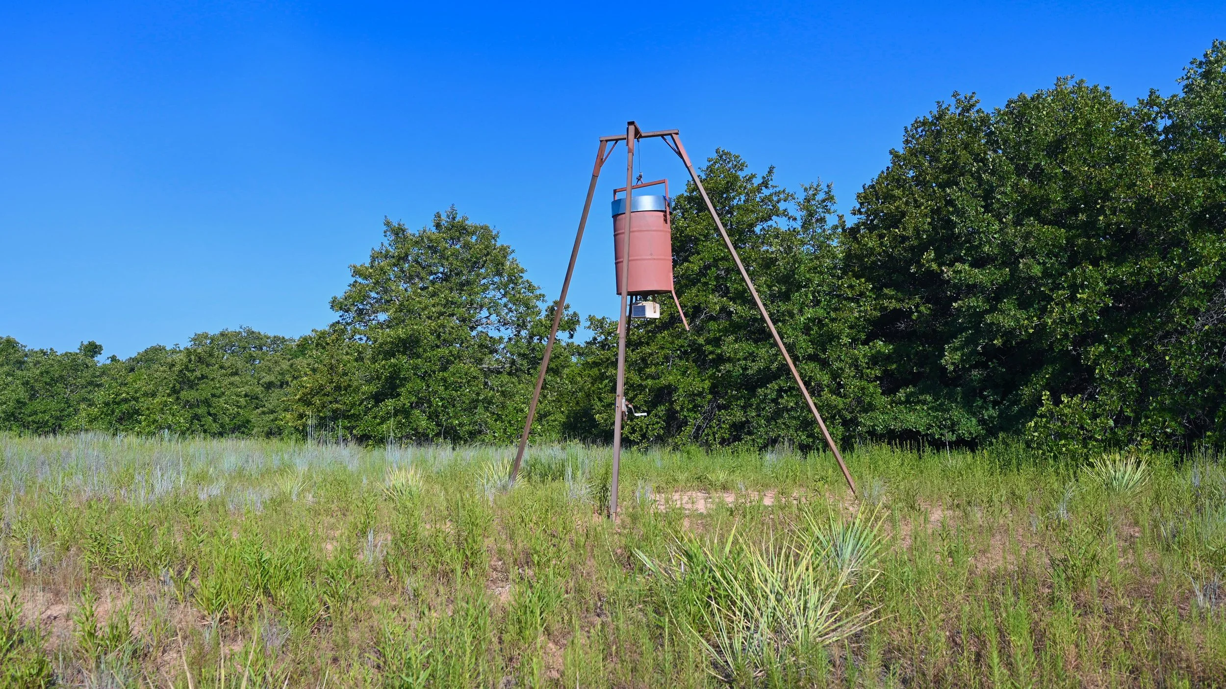 54.7 Acres Scout Ranch - 17.jpeg
