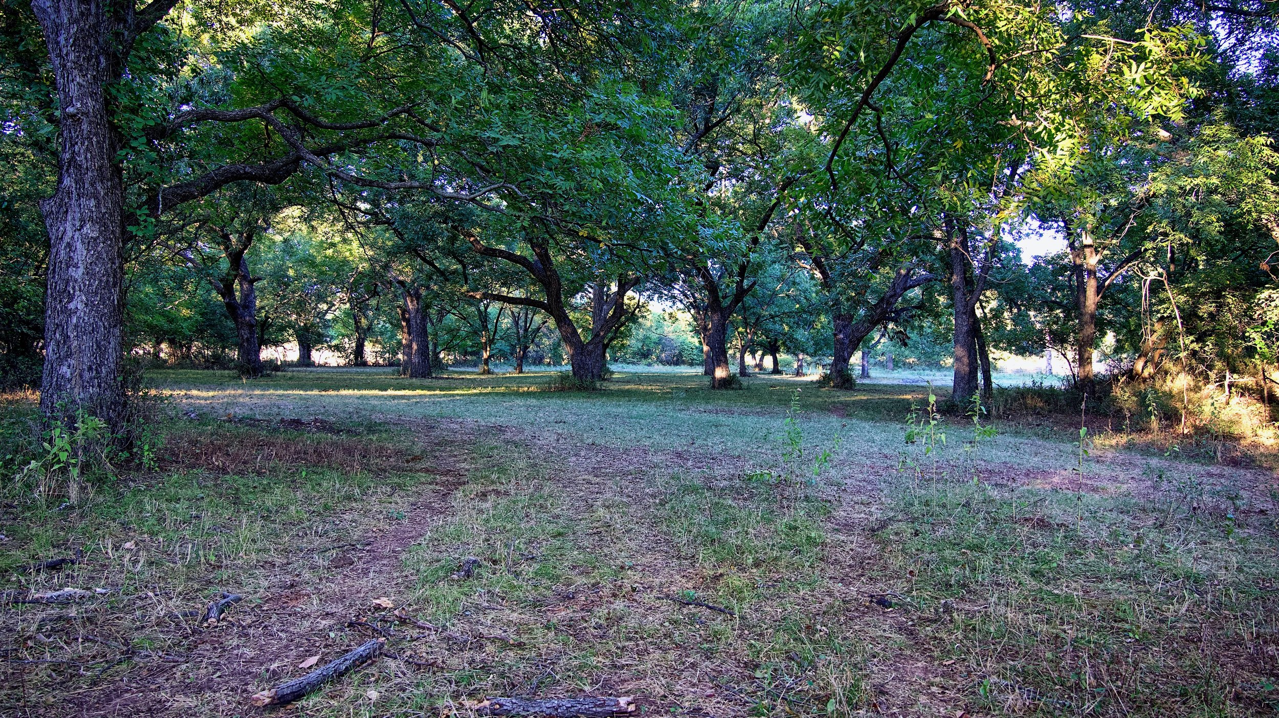 220 Acres Lyons - 18.jpeg