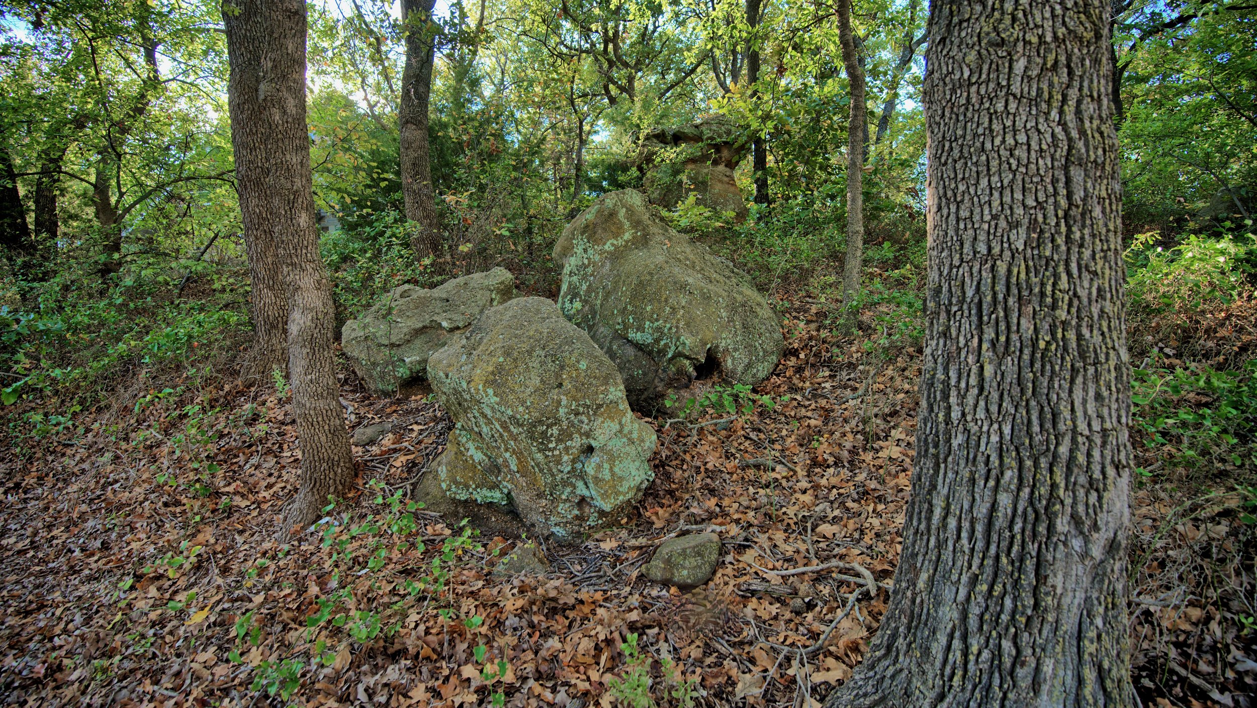 Langford Lake Lot - 28.jpeg