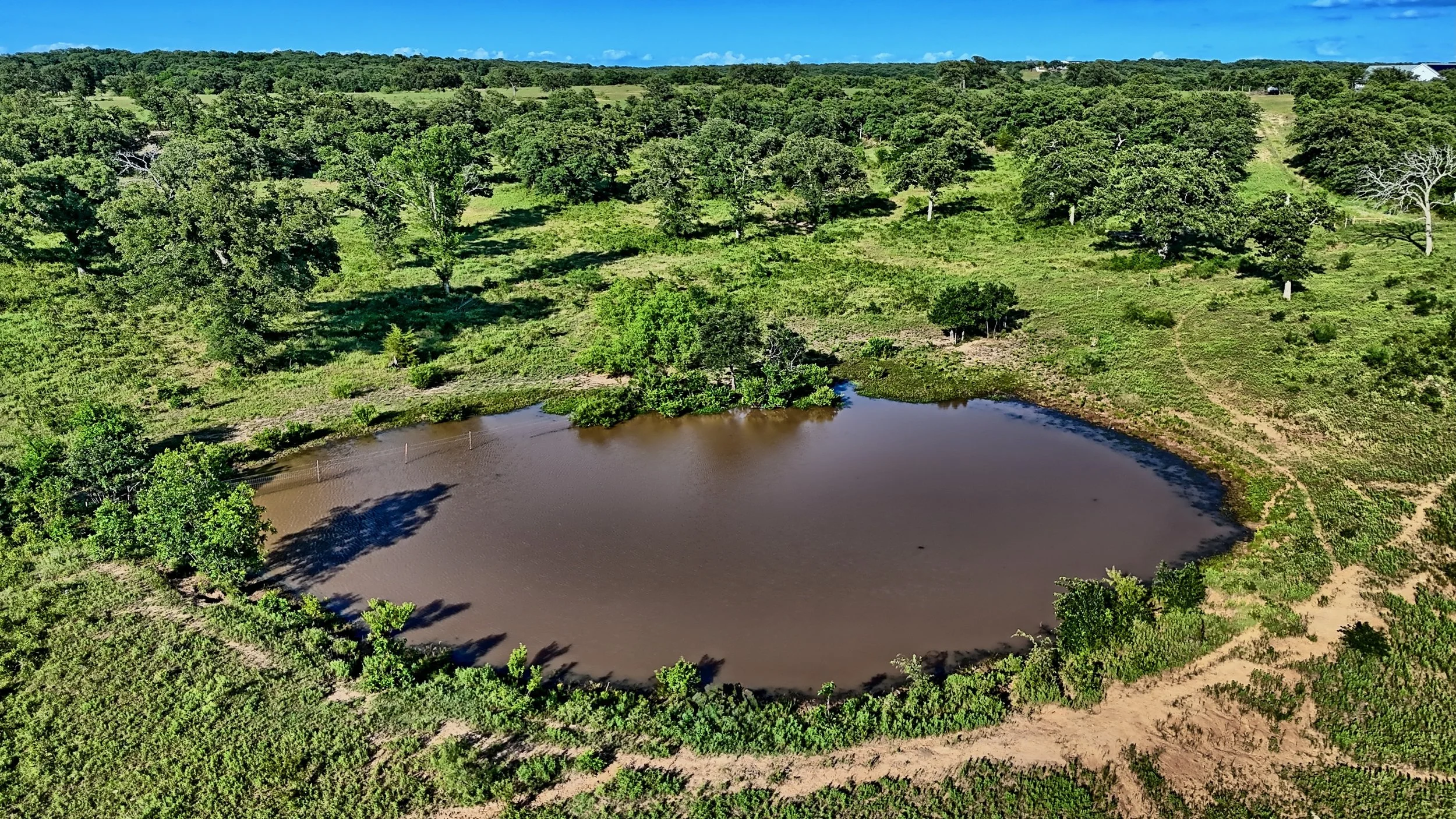 Beal Ranch - 4.jpeg