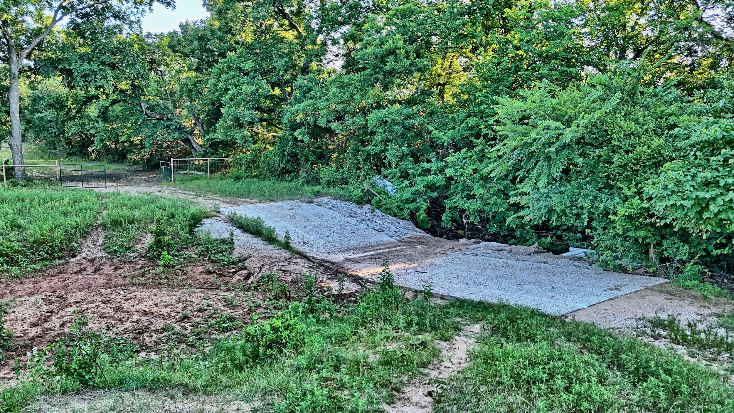 Beal Ranch - 32.jpeg