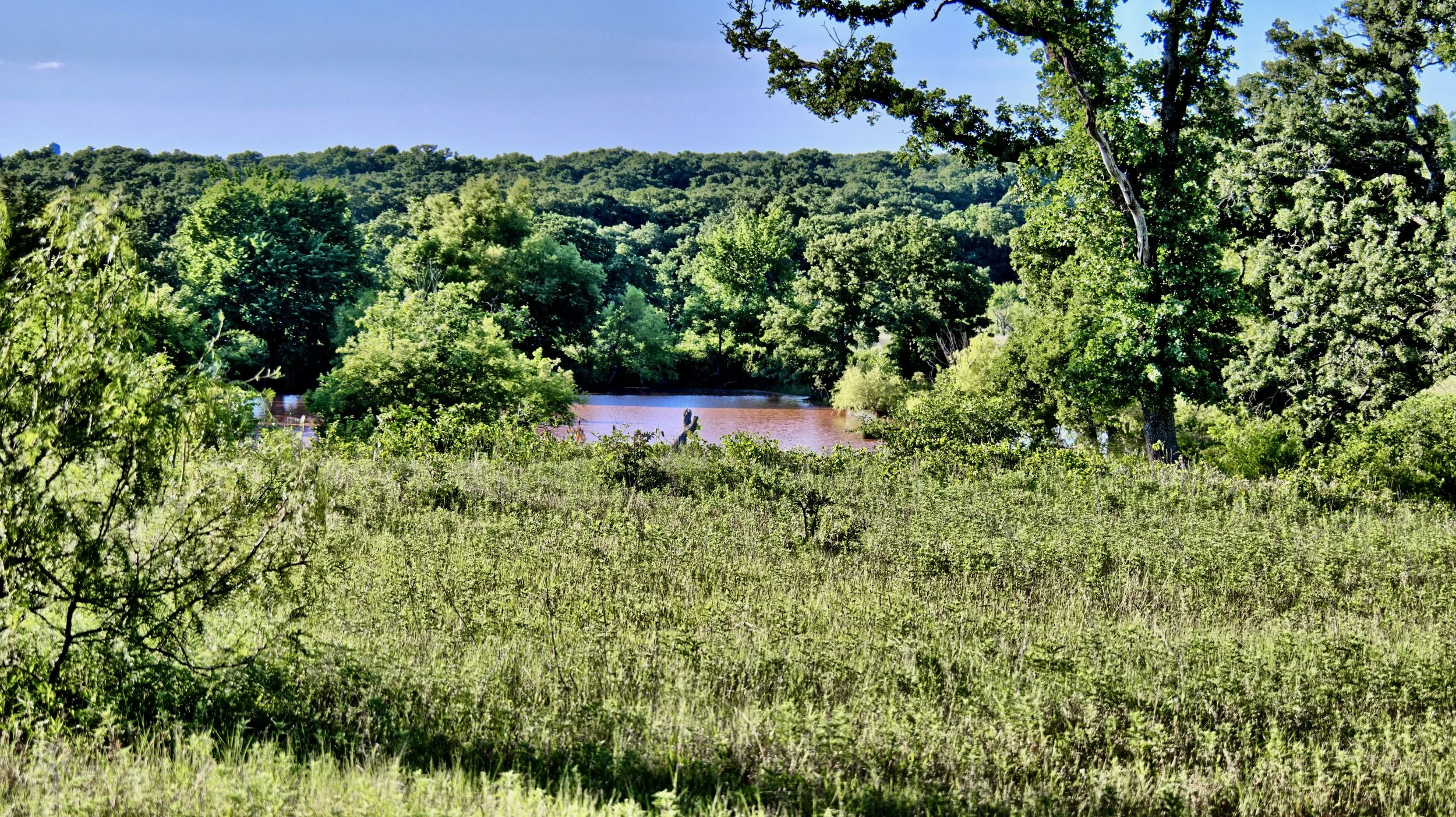 Beal Ranch - 31.jpeg