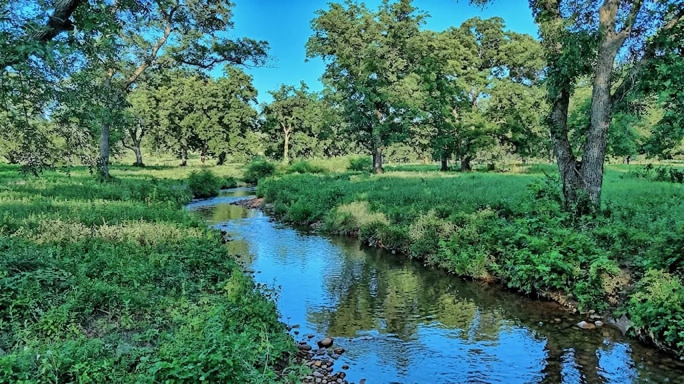 Beal Ranch - 42.jpeg