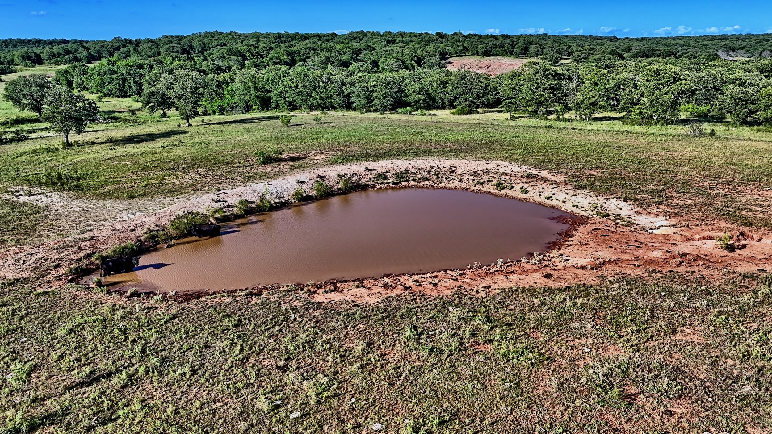 Beal Ranch - 39.jpeg