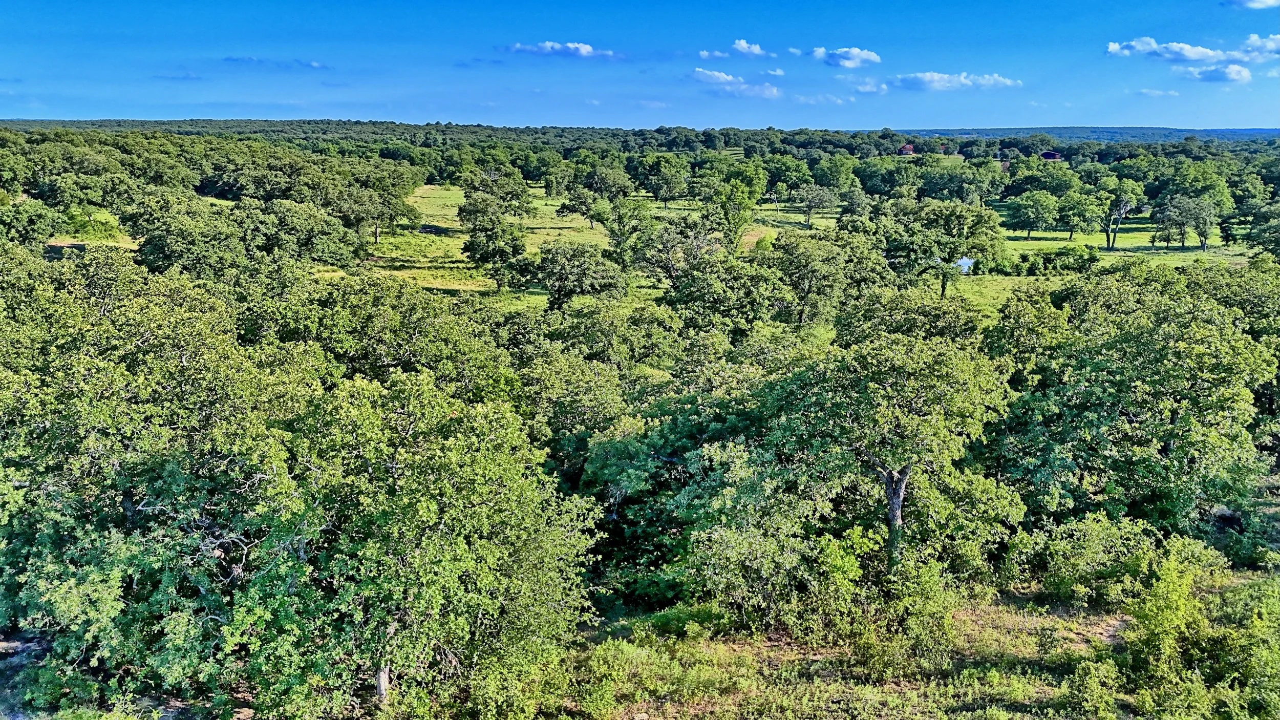Beal Ranch - 9.jpeg