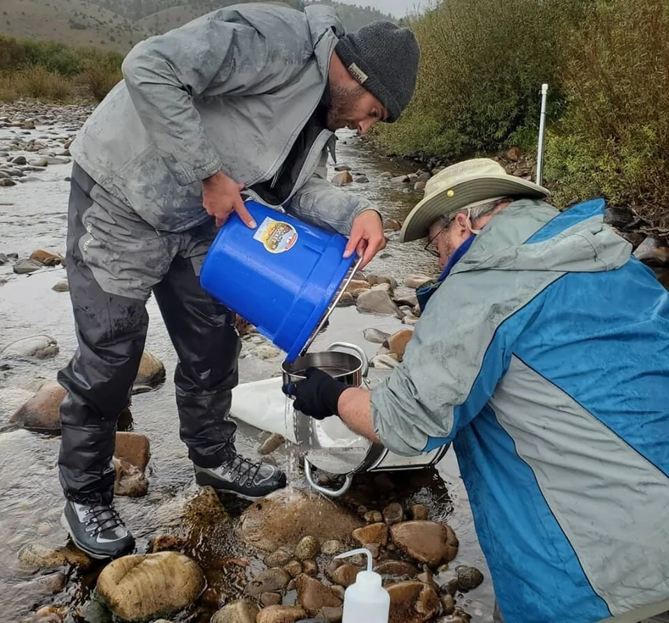 Macro sampling at Wise River.jpg