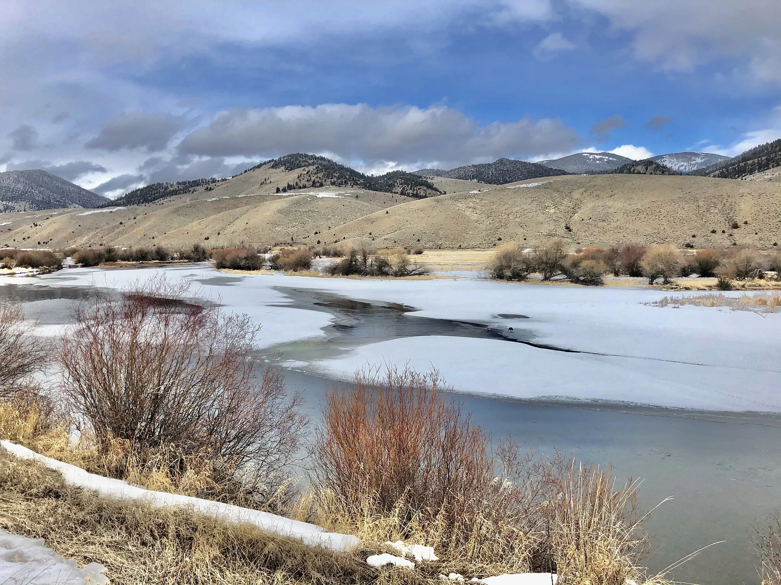 Big Hole Watershed Management: Protecting Montana's Precious Ecosystem