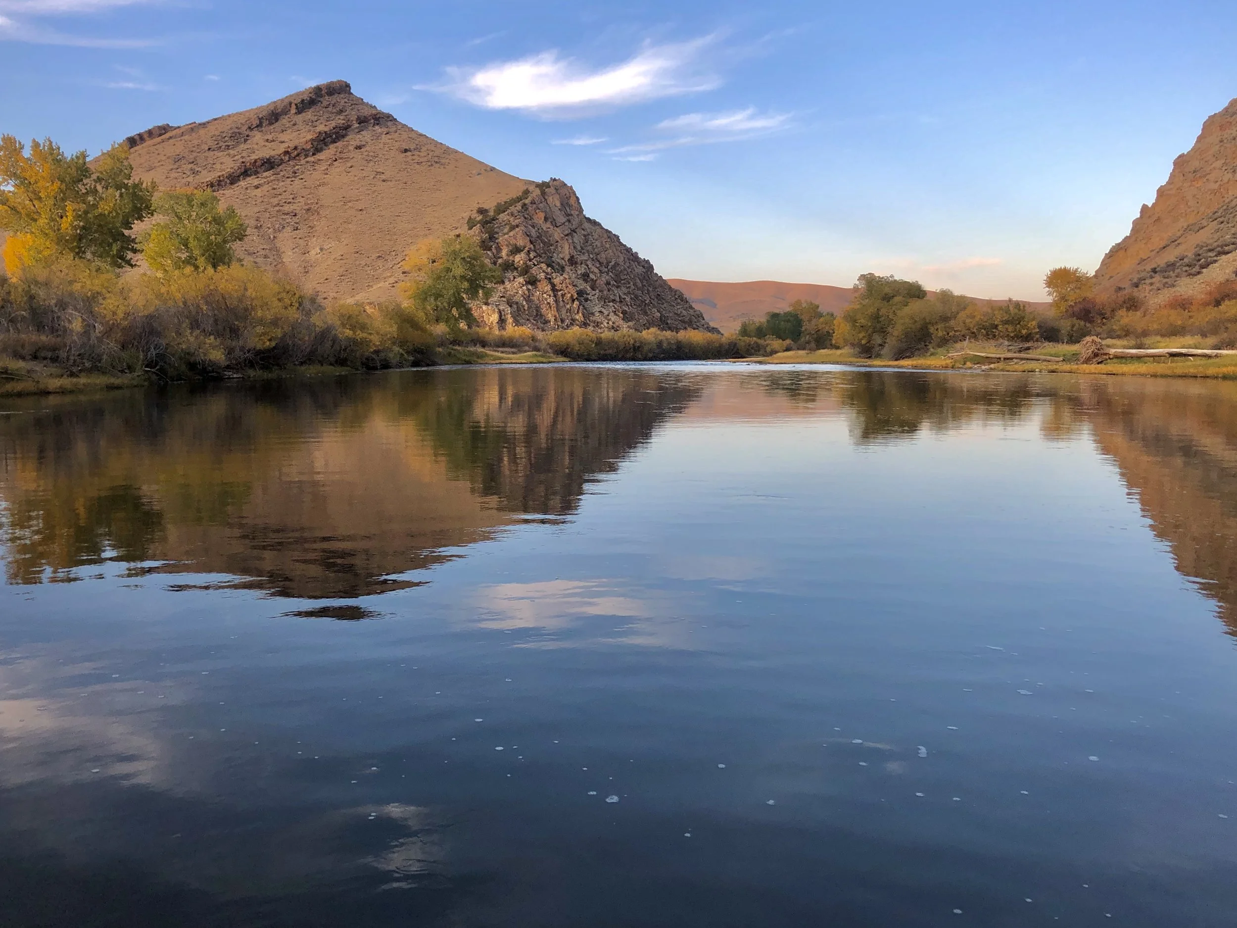 Big Hole River Fishing Guides: Your Gateway to a World-Class Angling Experience