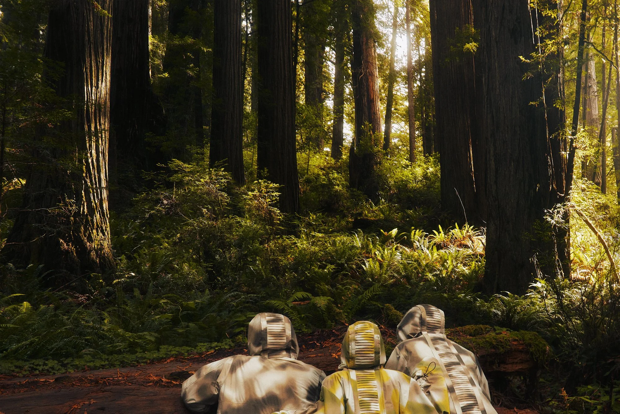 F25_Endor_BS_Forest_Recon_1154.jpg
