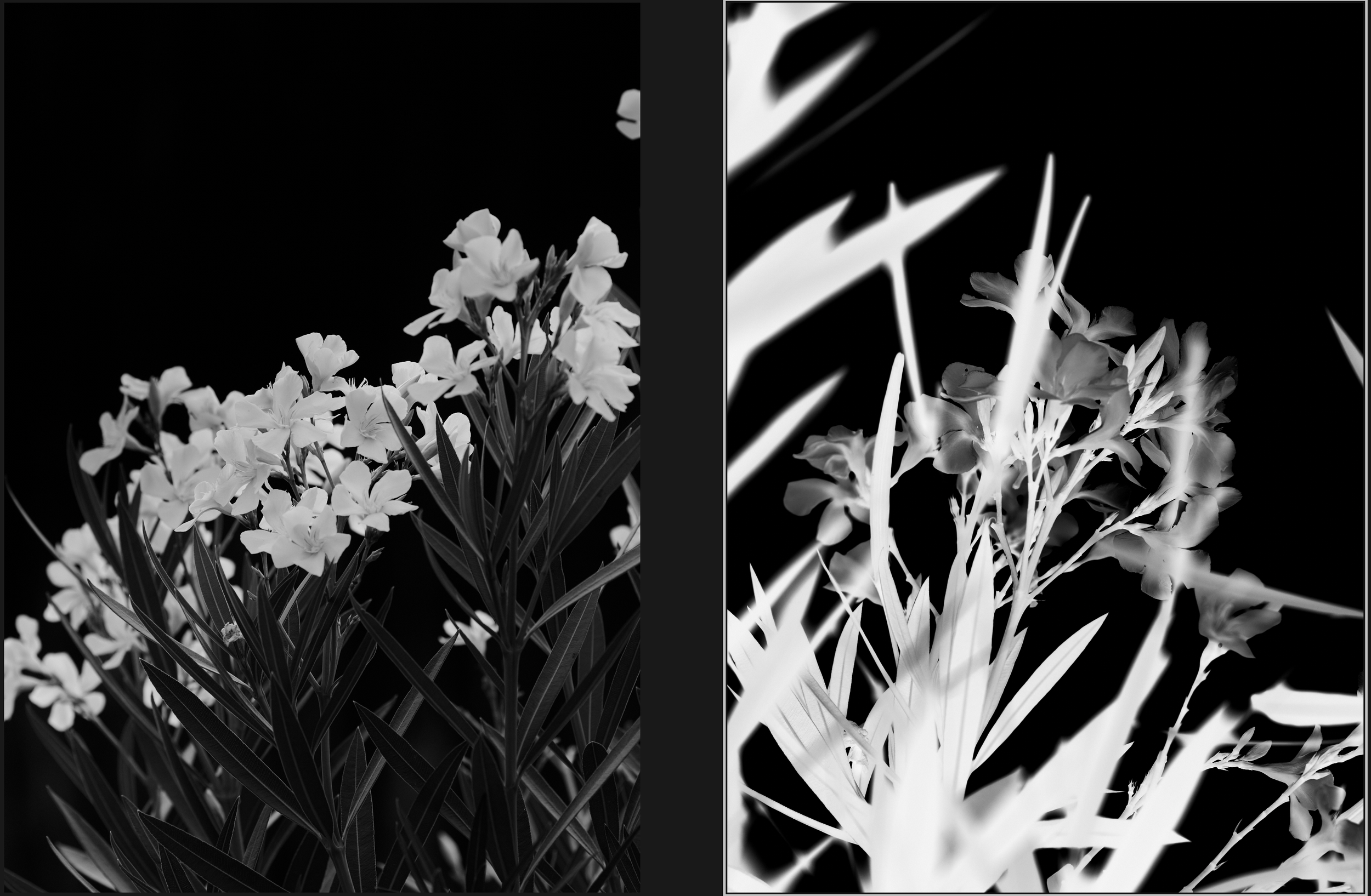 Screenshot 2025-08-20 at 4.17.40 PM.png