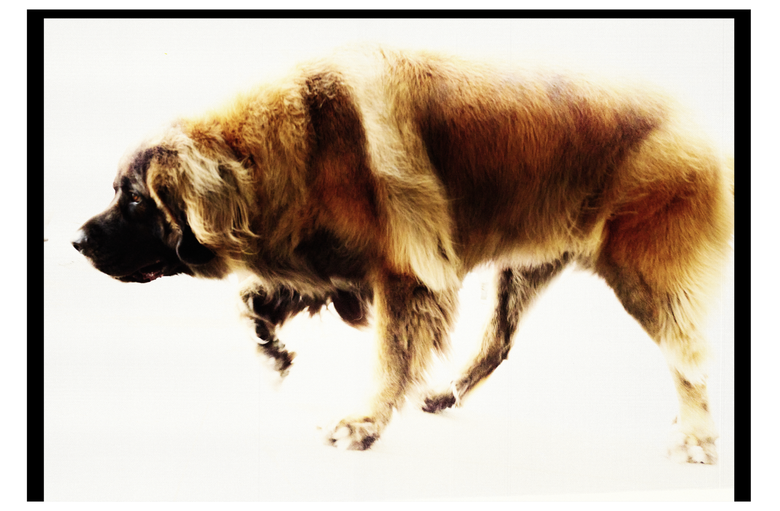 Screenshot 2024-11-16 at 11.19.37 AM.png