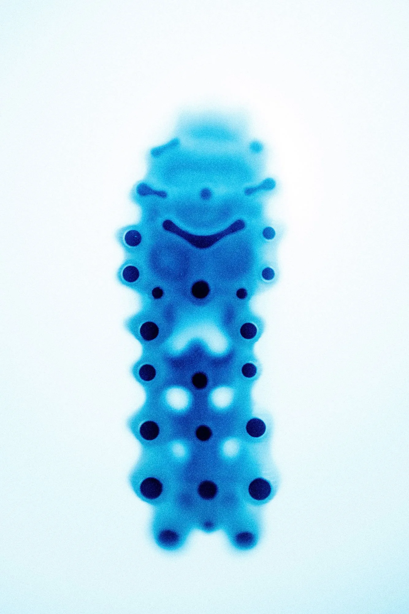 LIQUIDMAX_DANGEROUS_FROG_0786.jpg