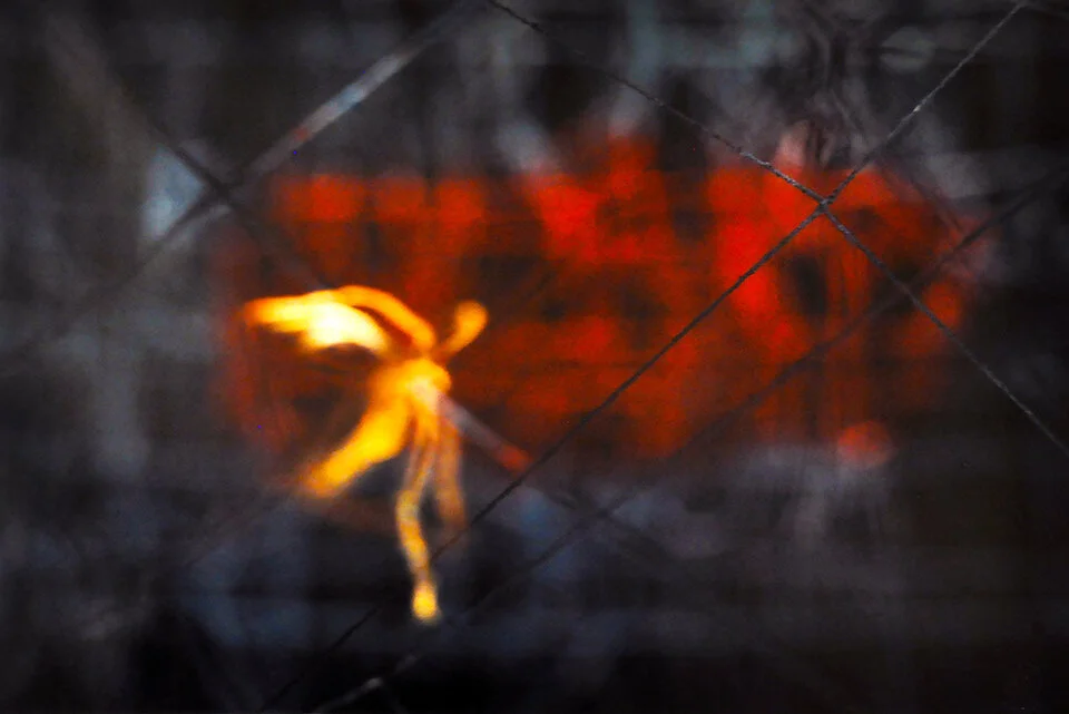 (IR)rational Movements with a Camera: 1995-98Insert (IR)rational Movements with a Camera Intro text here