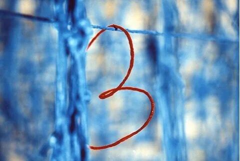 (IR)rational Movements with the Camera, 1995-1997