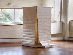  instalación   Biblioteca Virgilo Barco   papel de libros entelado  350x350x 400 cms    
