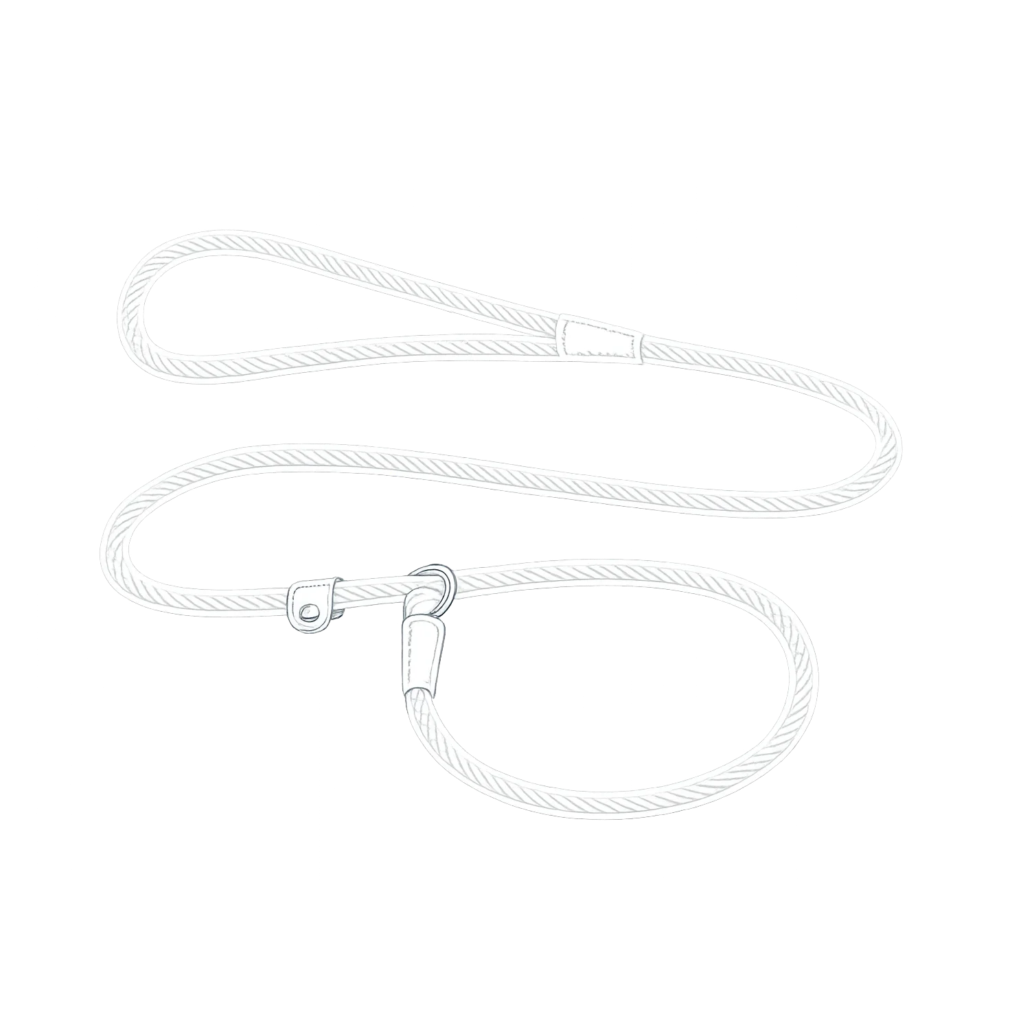 Illustrated slip leash with clip attachment, representing leash training and controlled dog walking.