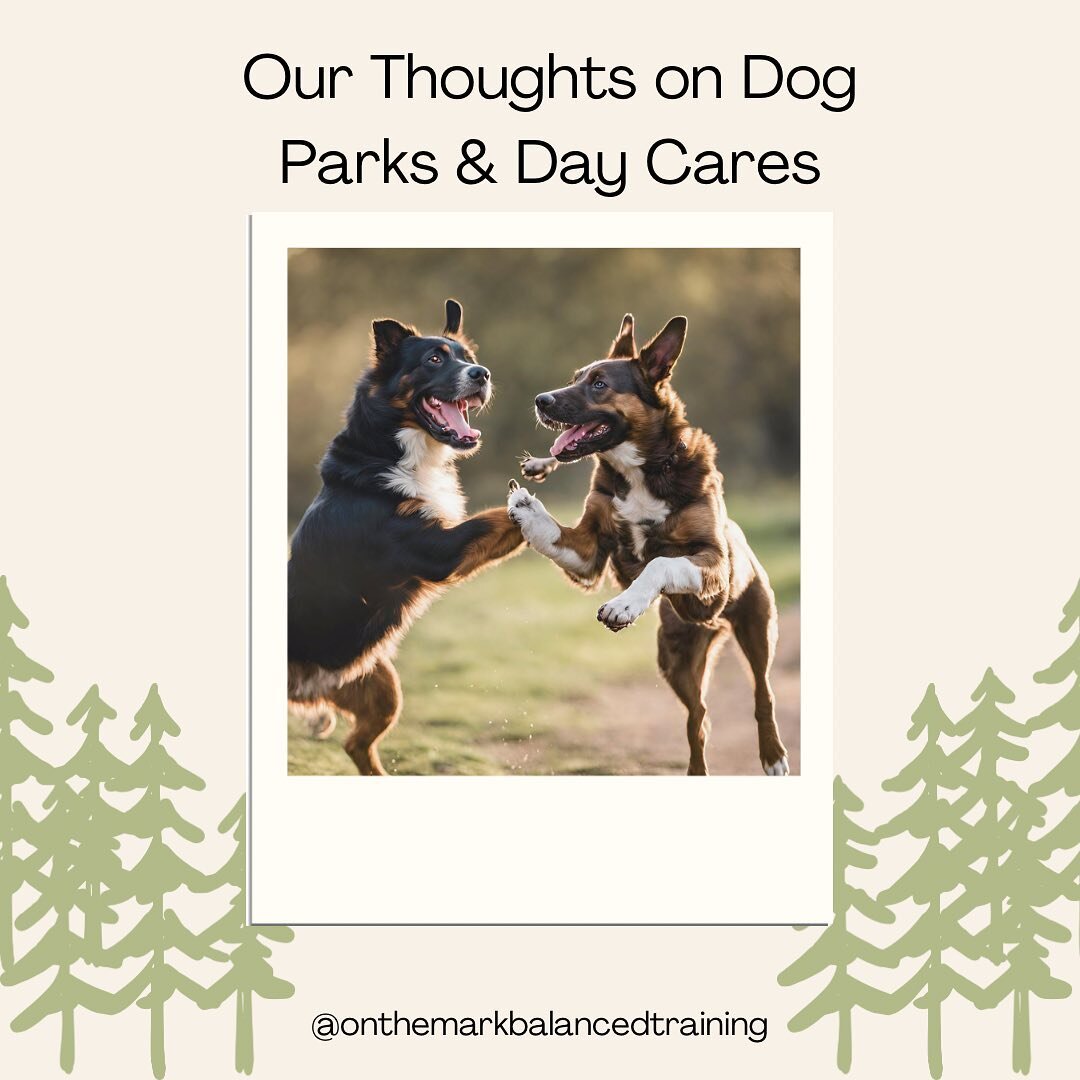 Dog parks and unstructured daycare are a popular way to &lsquo;socialize&rsquo; and exercise our pups, but did you know that they are high risk environments for behavioral issues and diseases? 

It can be heartbreaking to realize that something we th