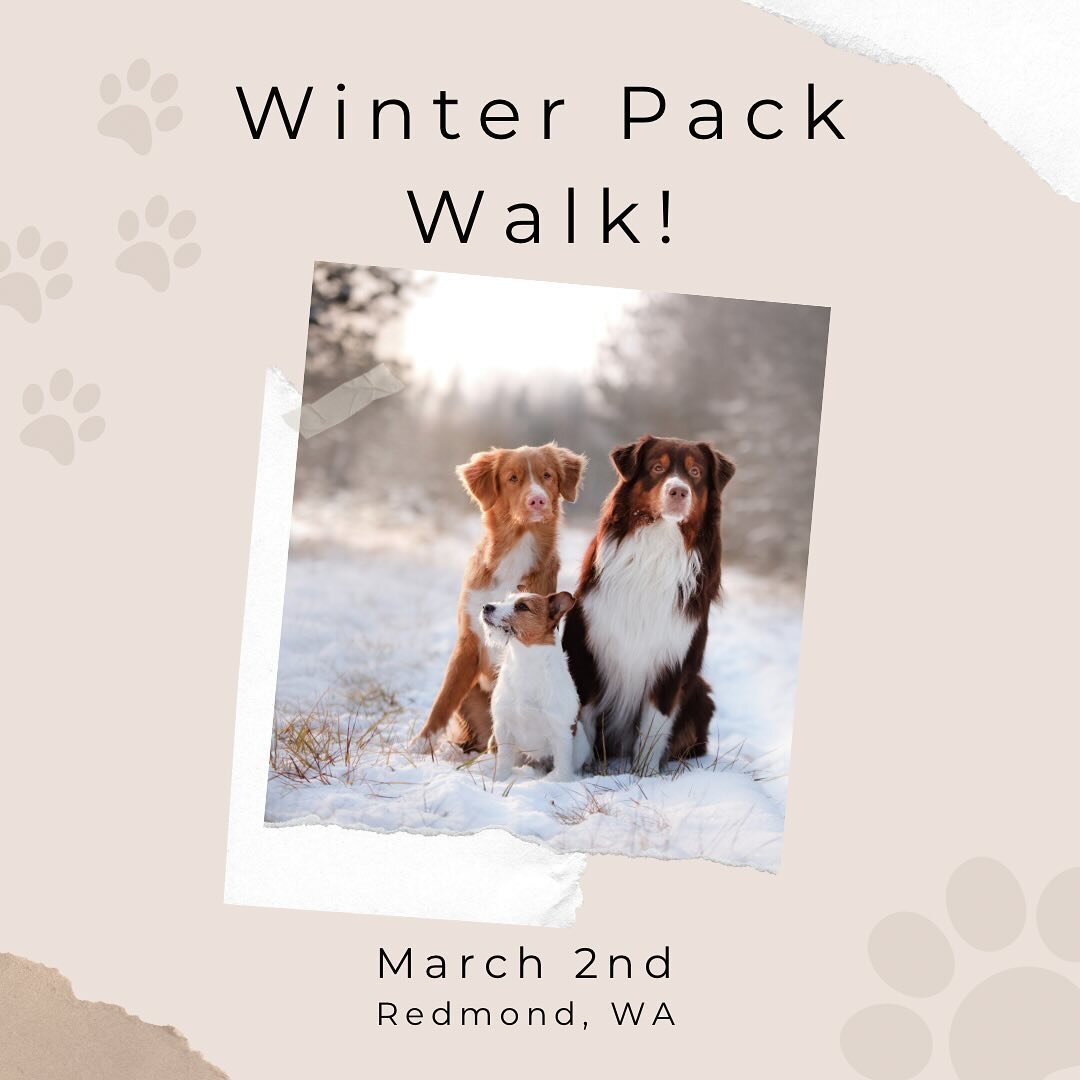 It&rsquo;s time to bring back an old past time: The Pack Walk!

Join me in Redmond on Saturday, March 2nd at 10am for a pack walk and get some great practice in with built in support while being surrounded with others who have the same rules and goal