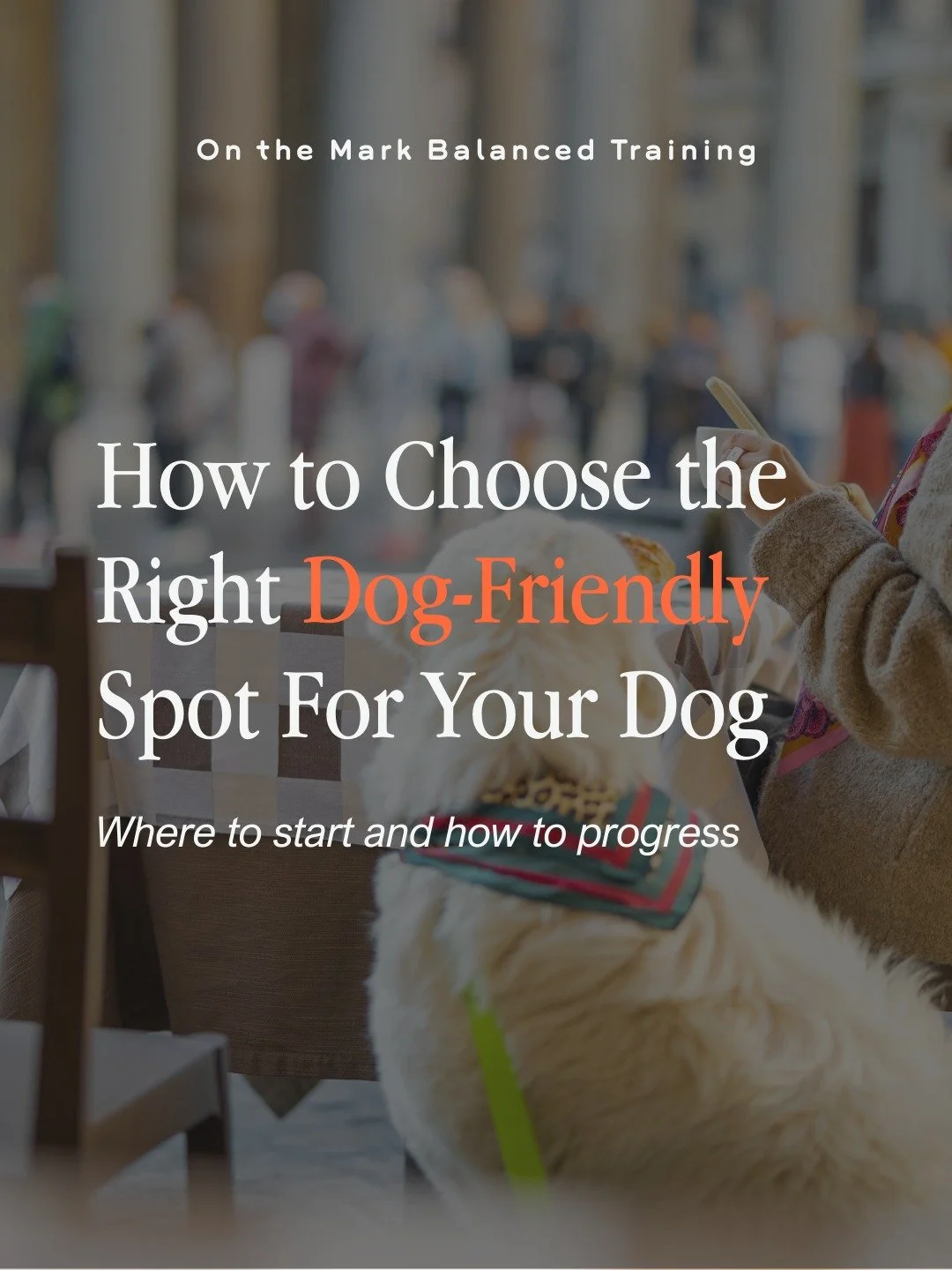 Ready to eat out with your dog? Start here and work your way up 👇

☕ Coffee shops are the easiest place to practice. The stakes are low and the outing can stay short.

How to approach a coffee shop:
&bull; Leave your dog in the car when you arrive
&