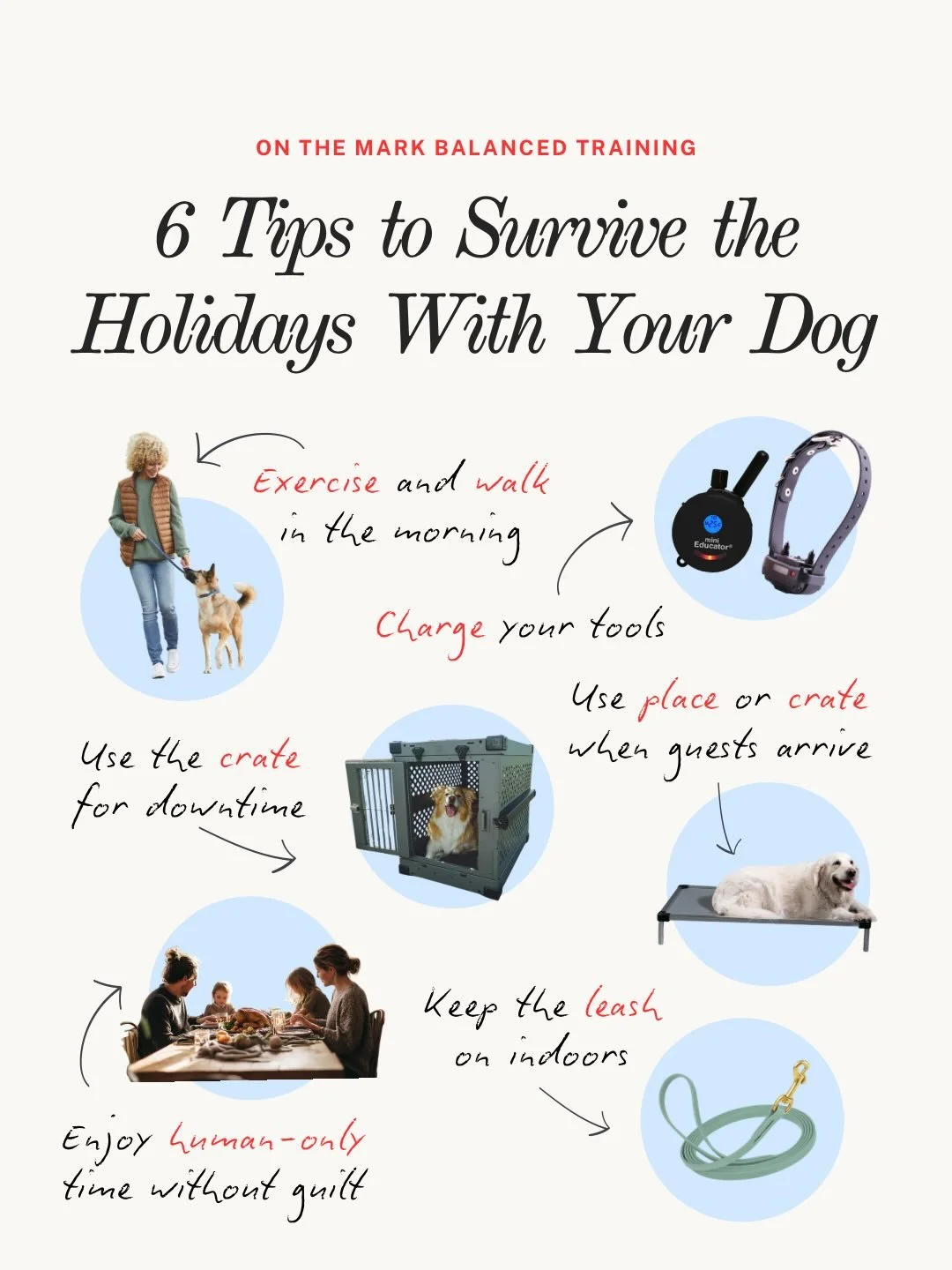 Holidays can be exciting and overwhelming for both humans and dogs. Set your dog up for success by having a plan before guests walk through the door.

Your Holiday Success Checklist:

🦴 Exercise early. Fulfill mental and physical needs before the da