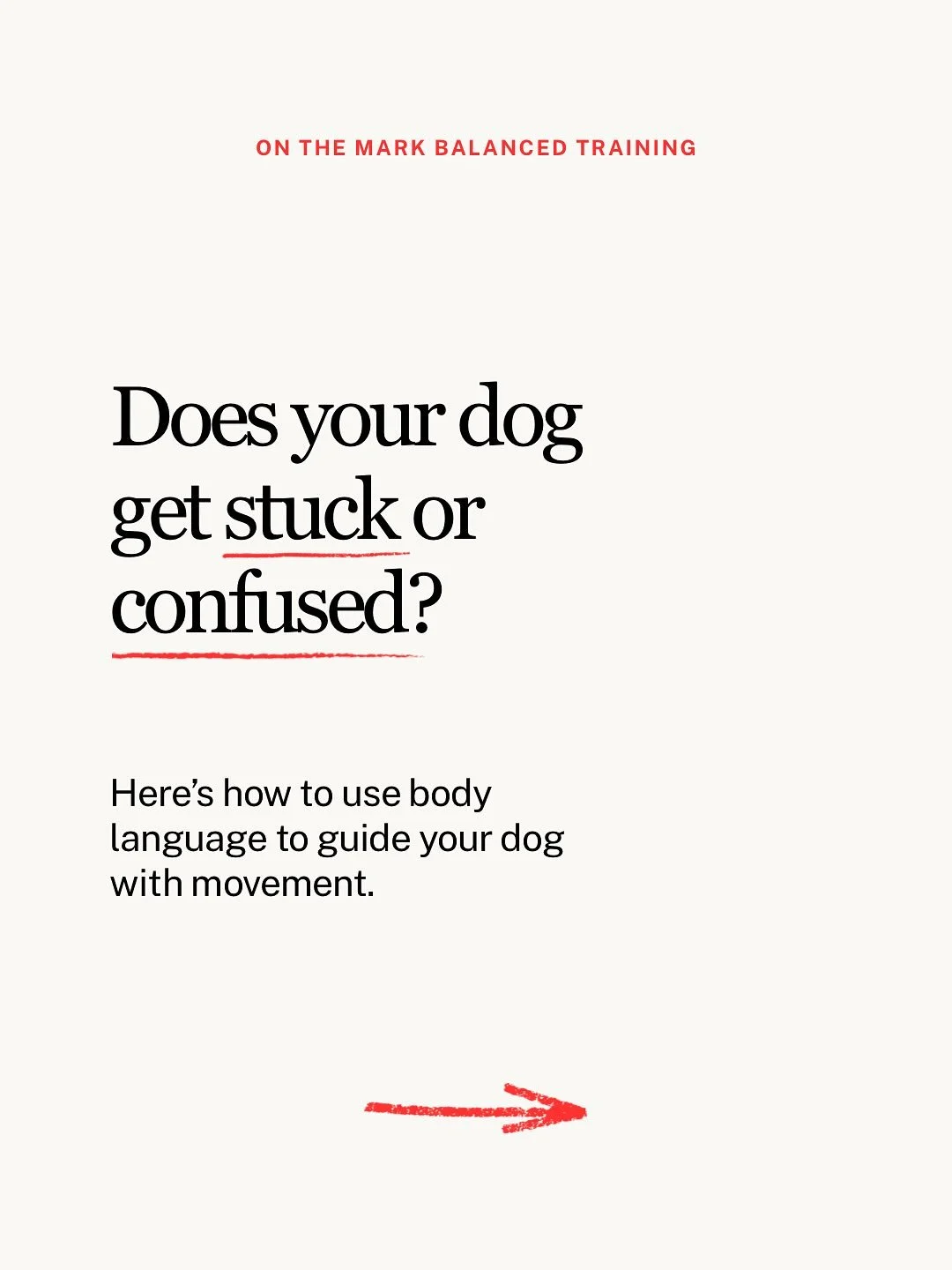 Your movement means something to your dog.

Step back to invite them in. Step forward to help them slow down or hold position.

It&rsquo;s simple body language that can create clarity without saying a word.
If you&rsquo;ve ever felt &ldquo;stuck&rdqu