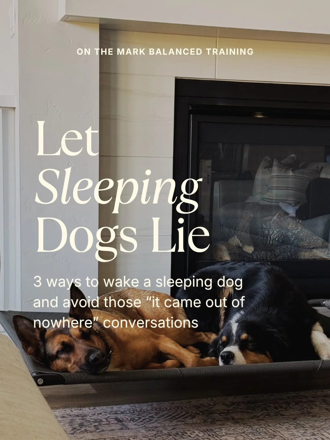 Let sleeping dogs lie. 💤 The old saying has some truth.

Any dog can be caught off guard when woken up abruptly, but some are more likely to react before they have time to think. If your dog is insecure, startles easily, or is nervous around people,