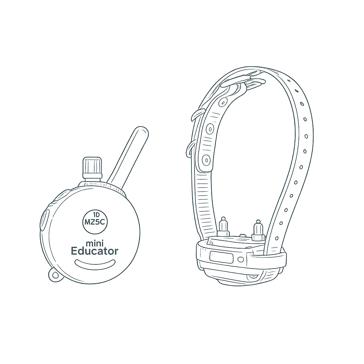 E-collar remote and adjustable dog training collar, representing balanced training and off-leash reliability tools.