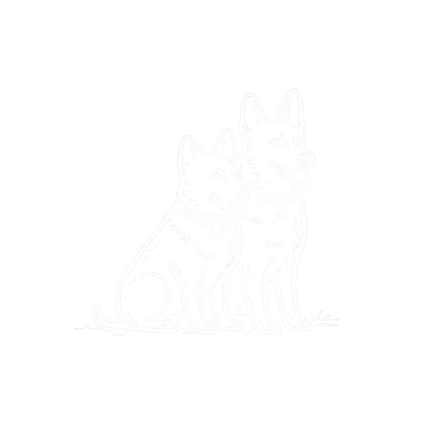Line art illustration of two German Shepherd dogs sitting side by side, symbolizing balanced dog training and obedience.