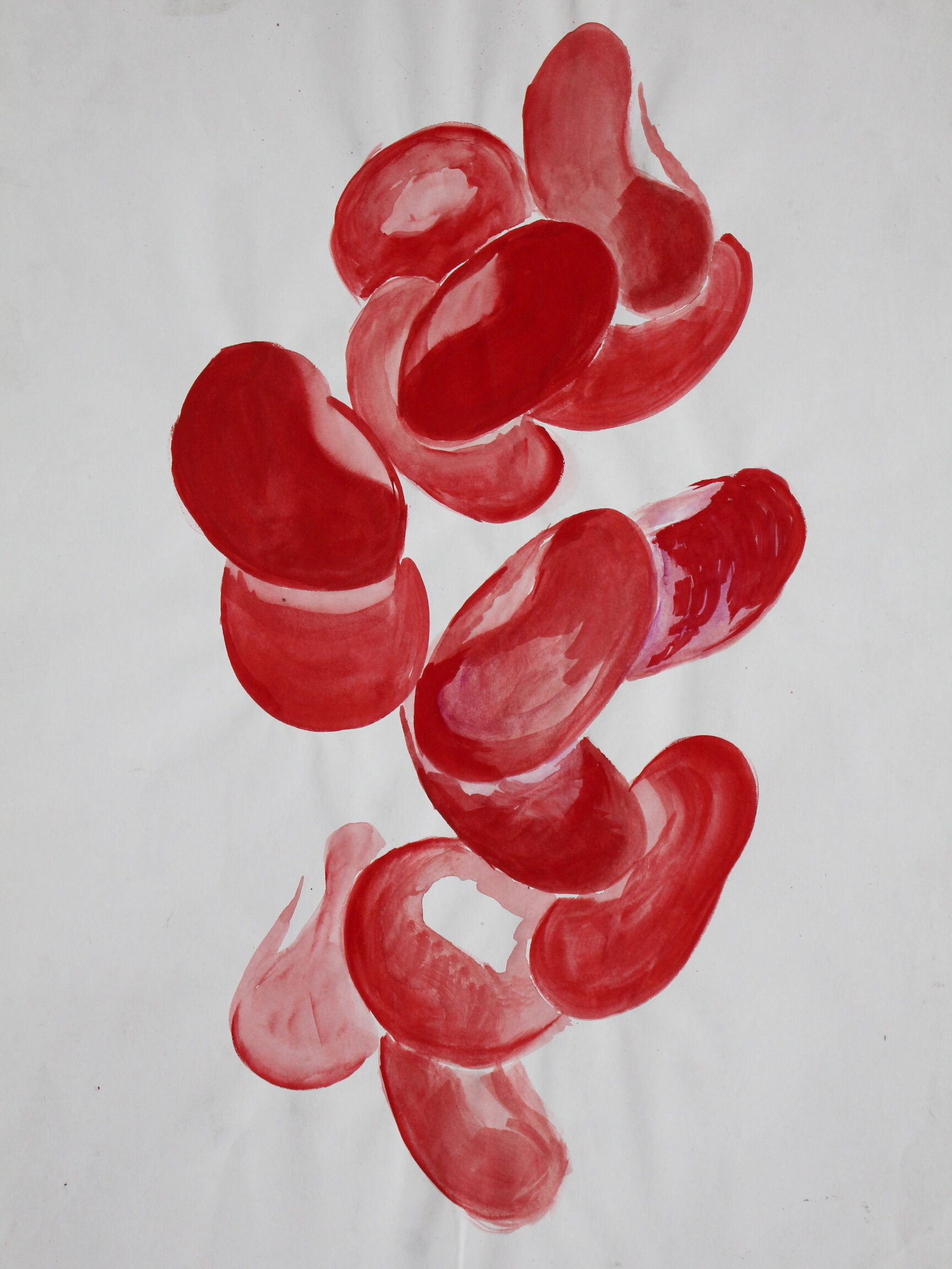 8. Tumbling Red Blood Cells, 1995 - Acrylic on paper.jpg