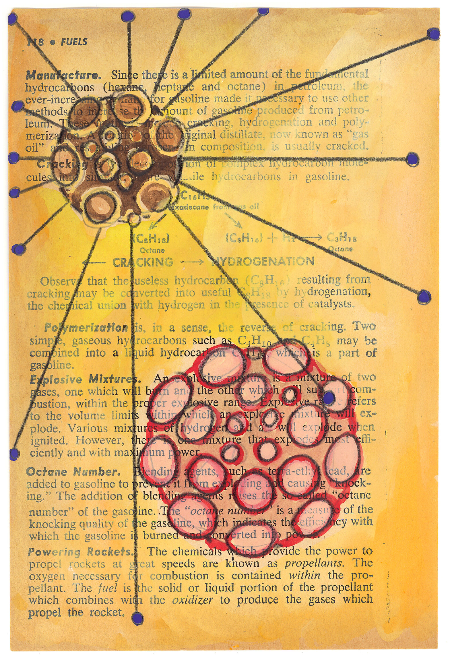 Yellow Radiolaria (for website).jpg