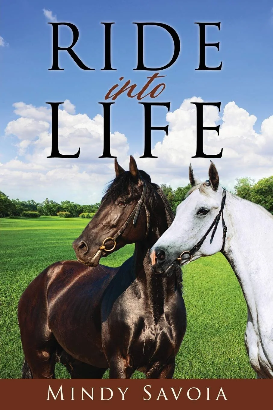 RIL cover.jpg