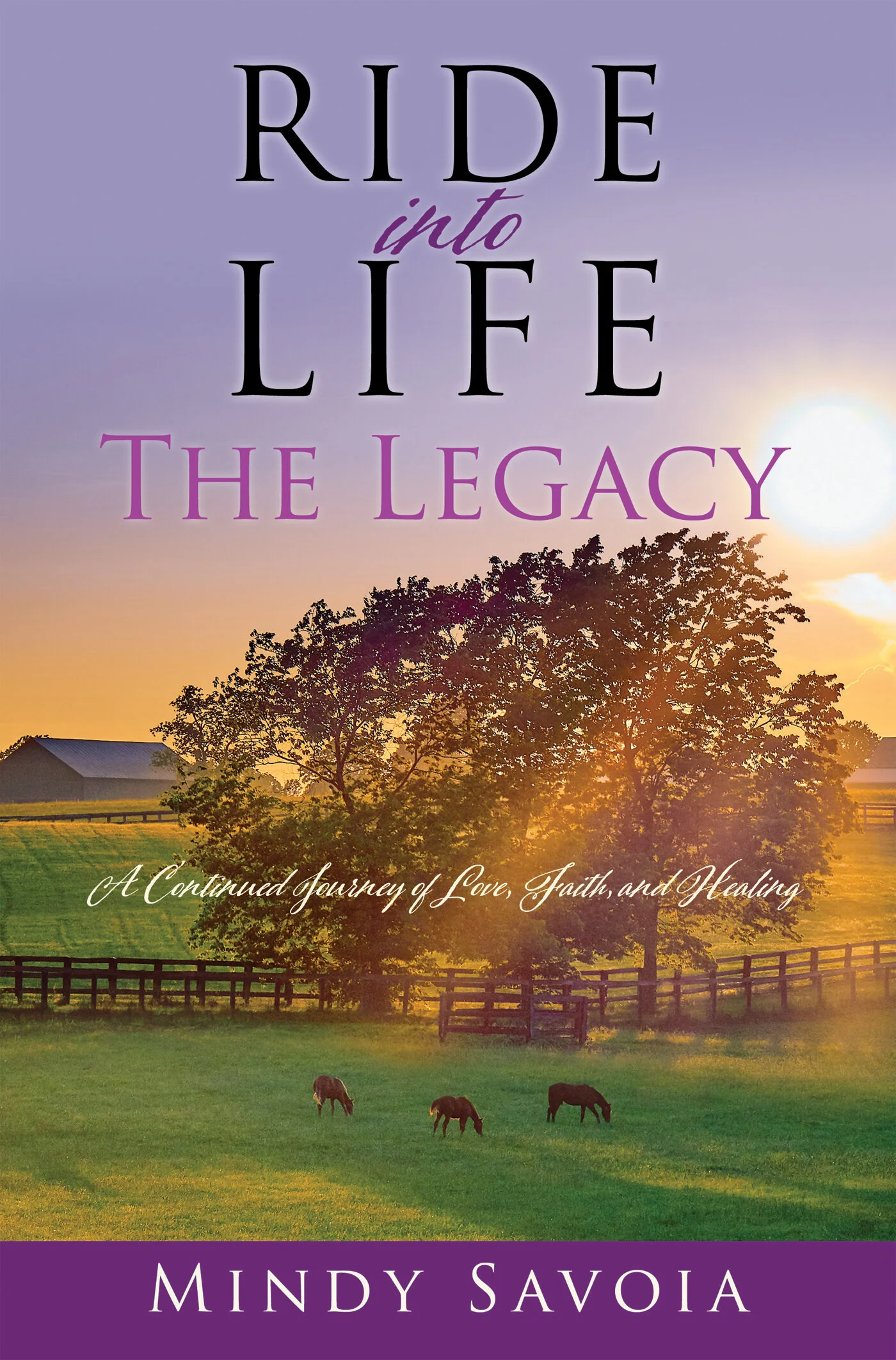 RIL II cover.jpg