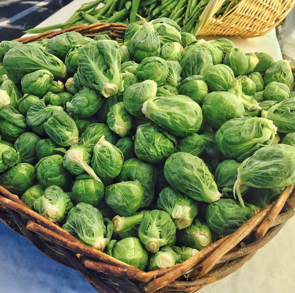 RodoniFarms-BrusselSprouts.jpg