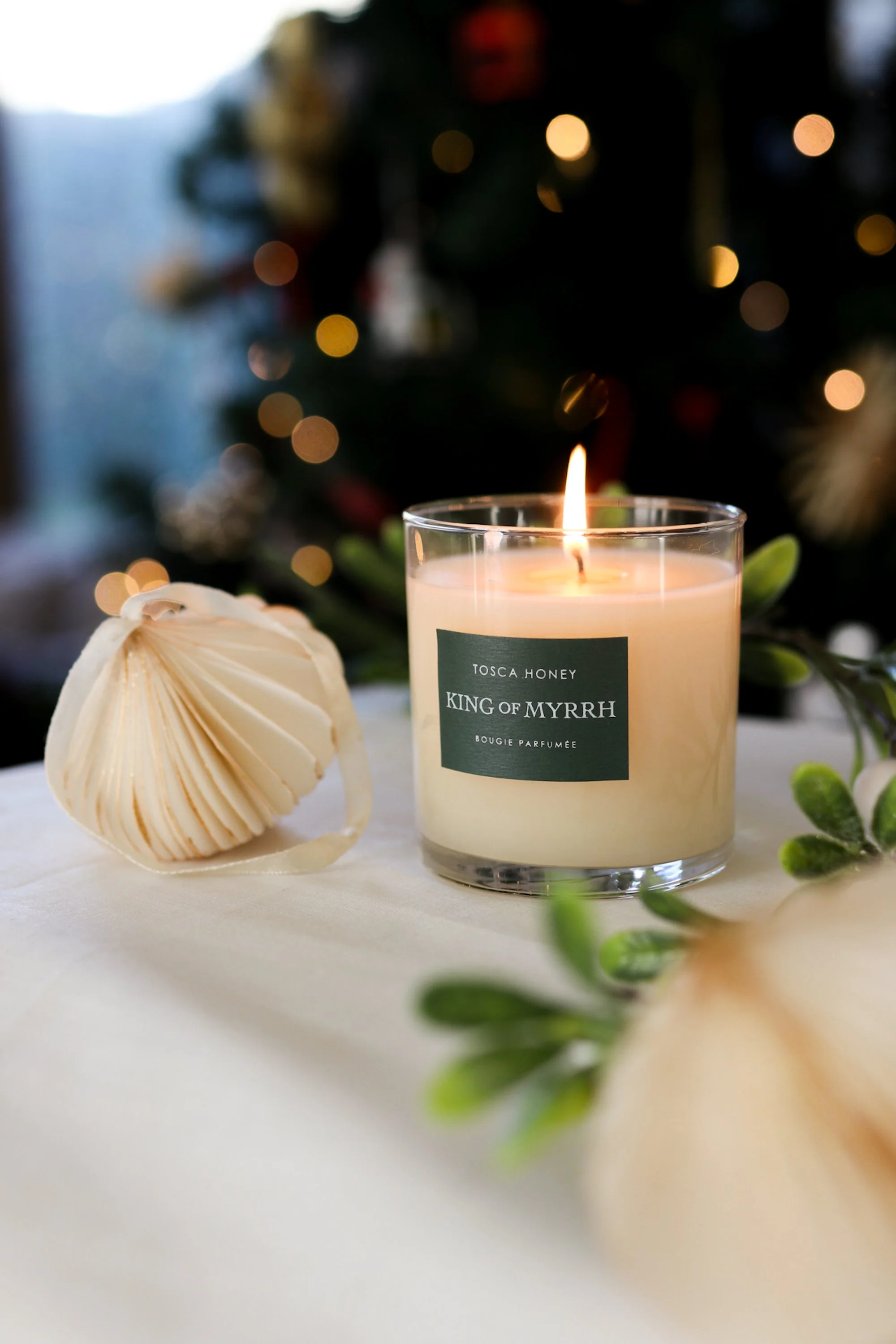 Photo Dec 12 2025, 5 26 11 PM.JPG