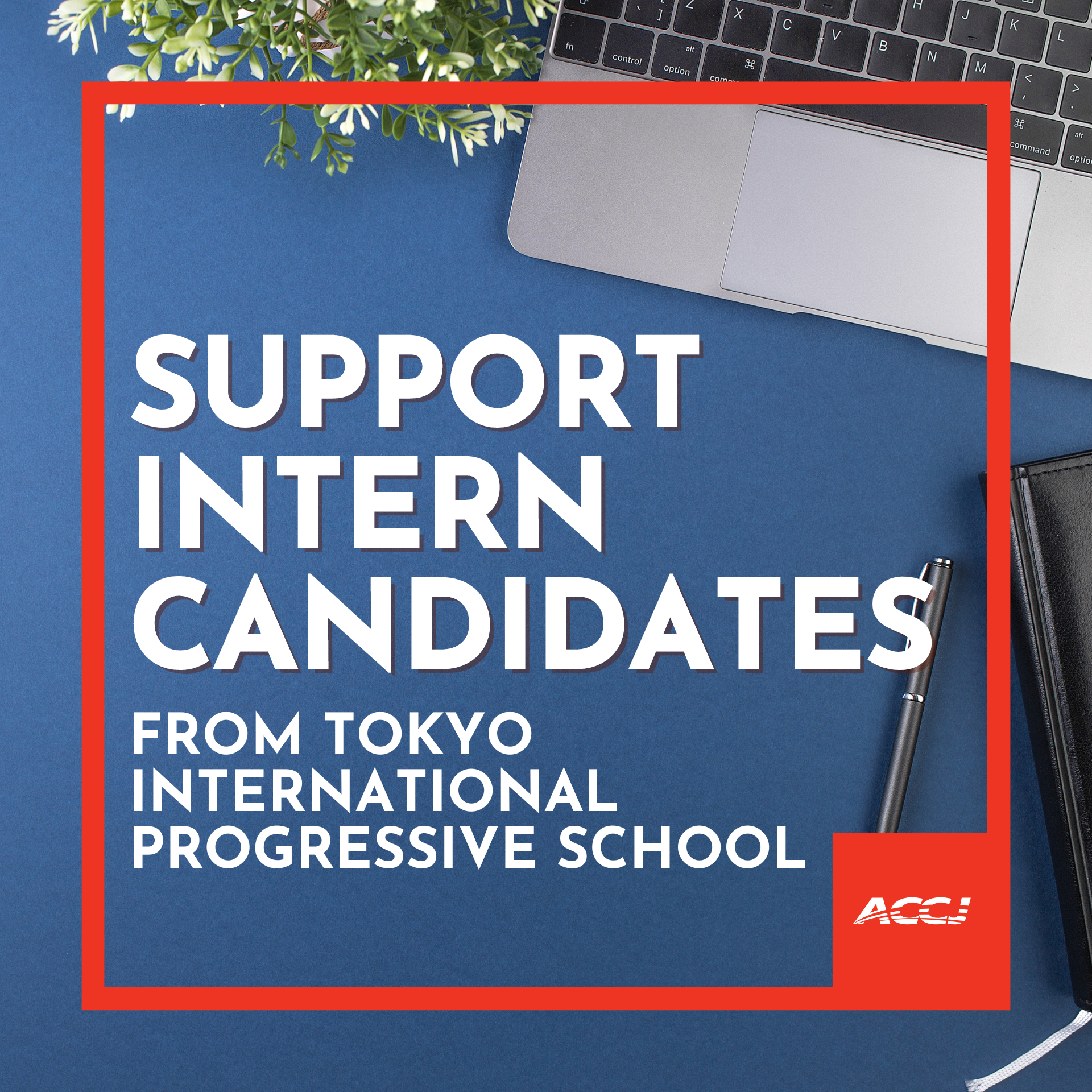 Support Intern Candidates From Tokyo International Progressive School