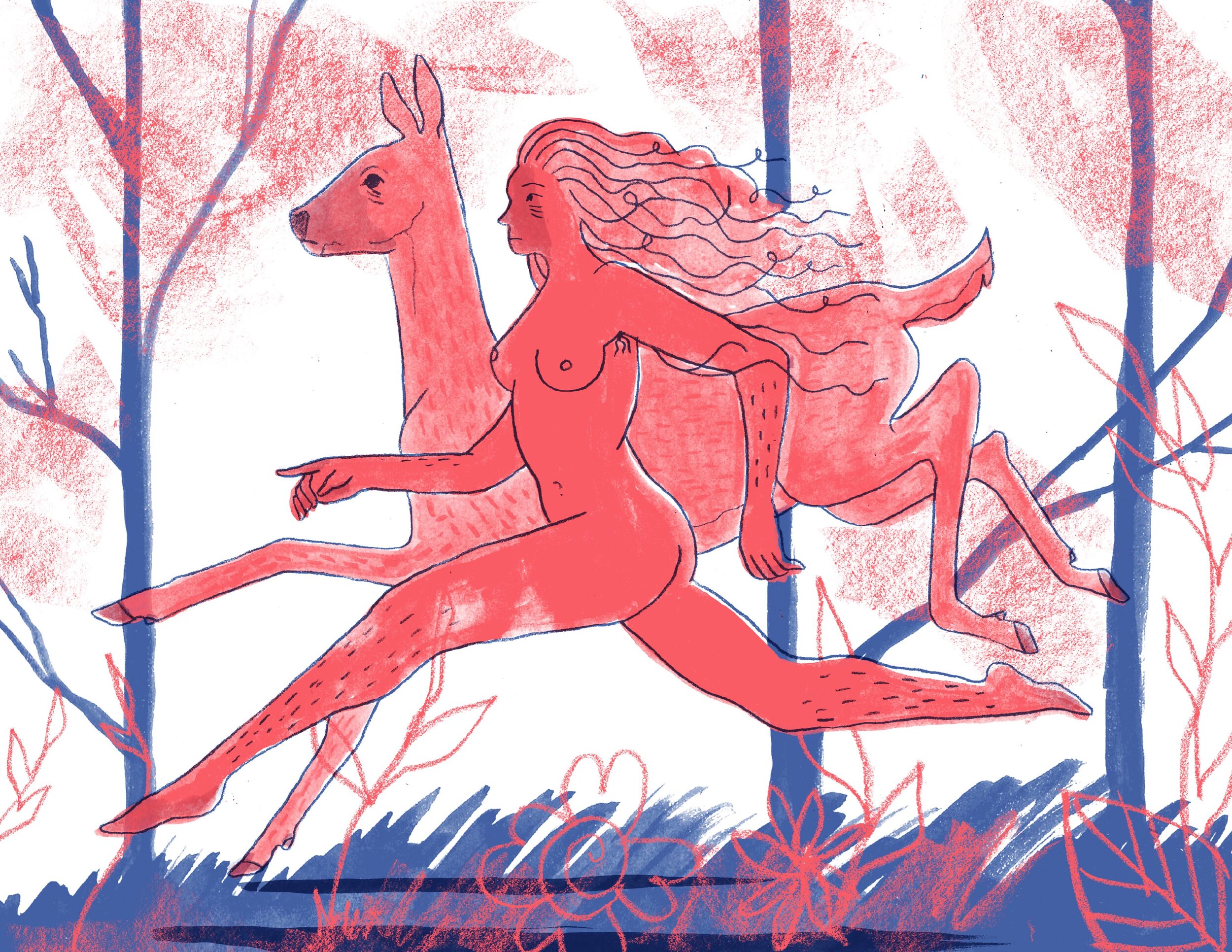 DEER RUNweb.jpeg