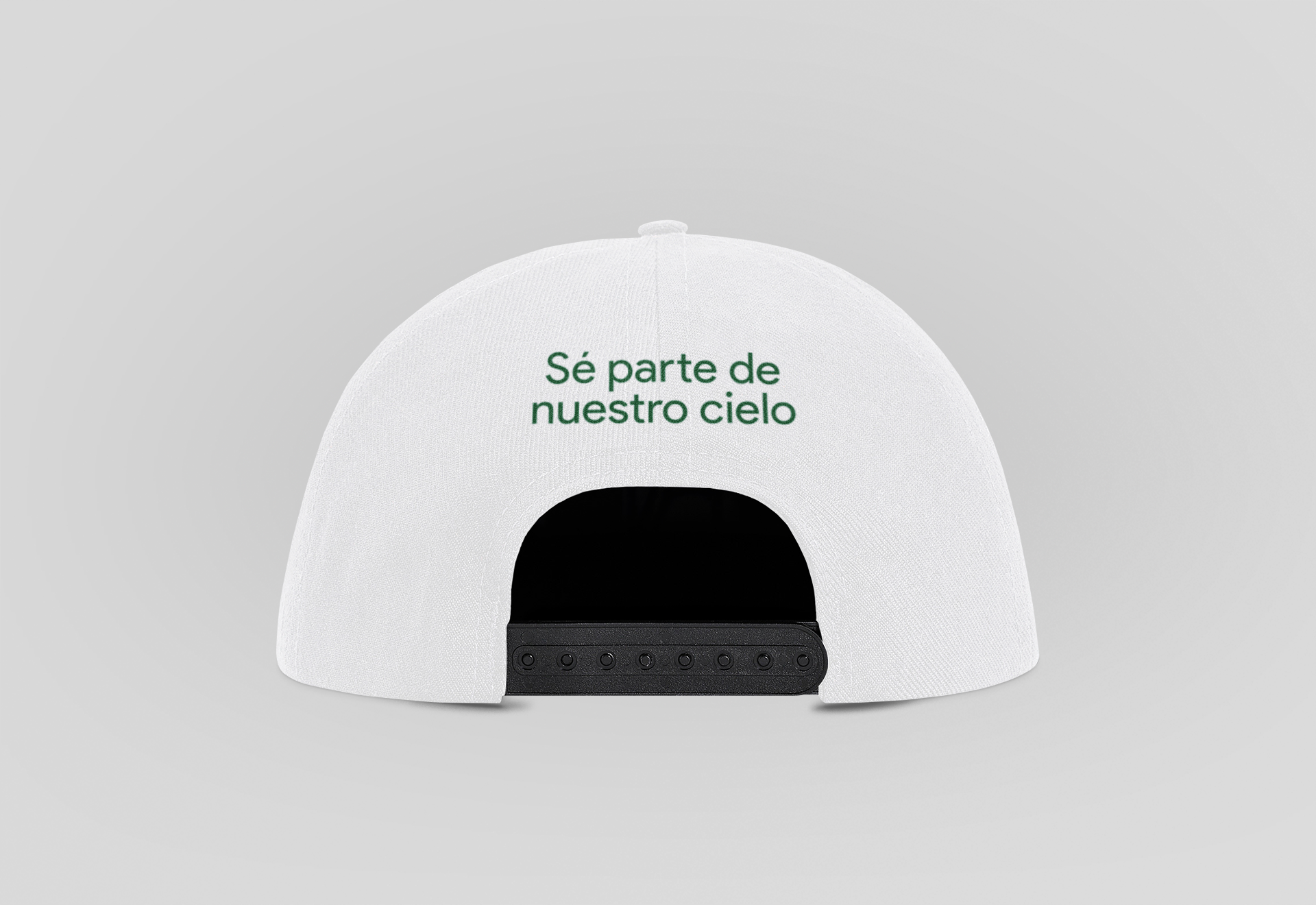 back-view-mockup-featuring-a-sublimated-snapback-hat-and-a-plain-background-3042-el1 (2) copy.png