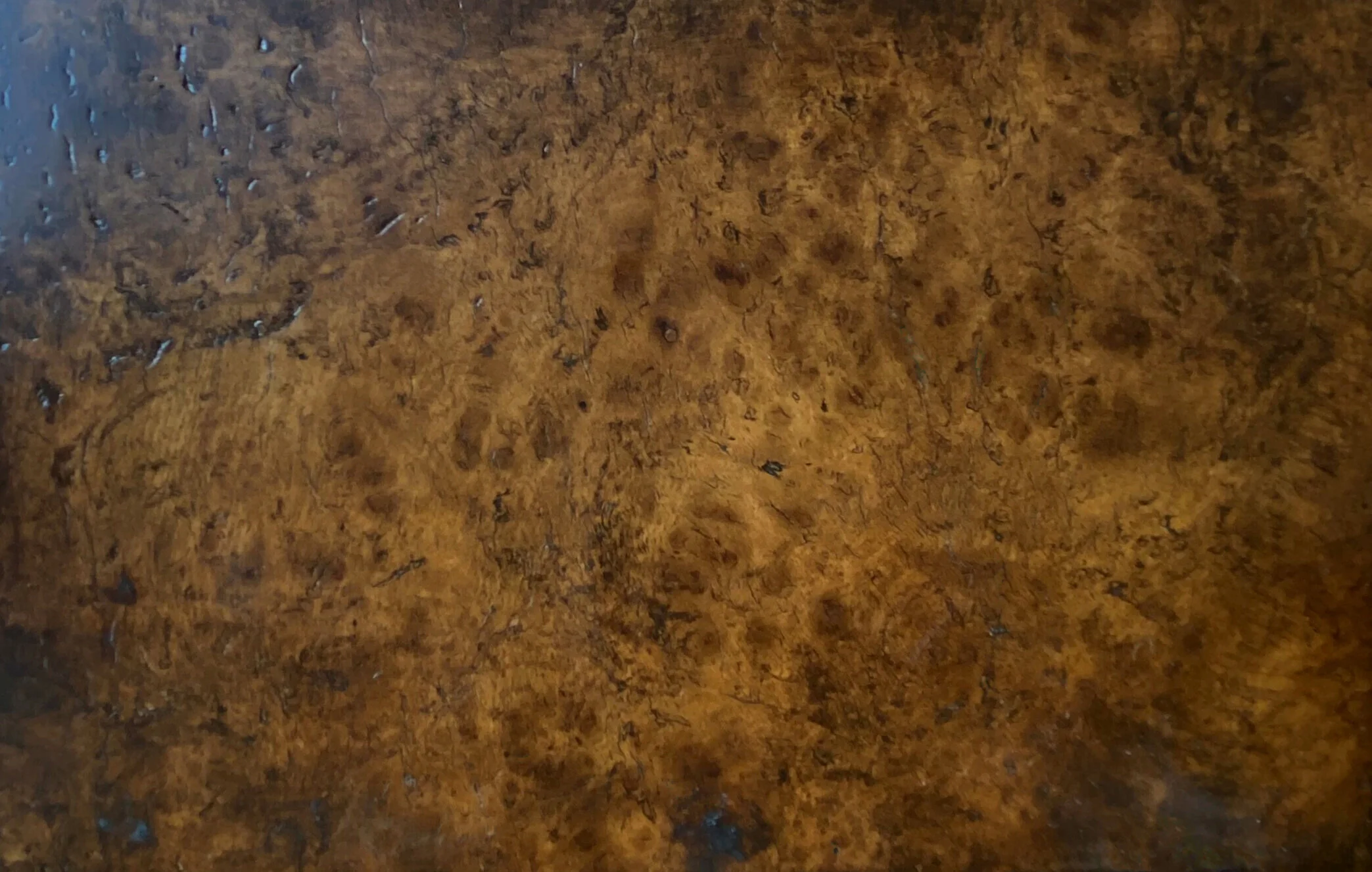 2021+Dark+Oak+Burl+Finish.jpg