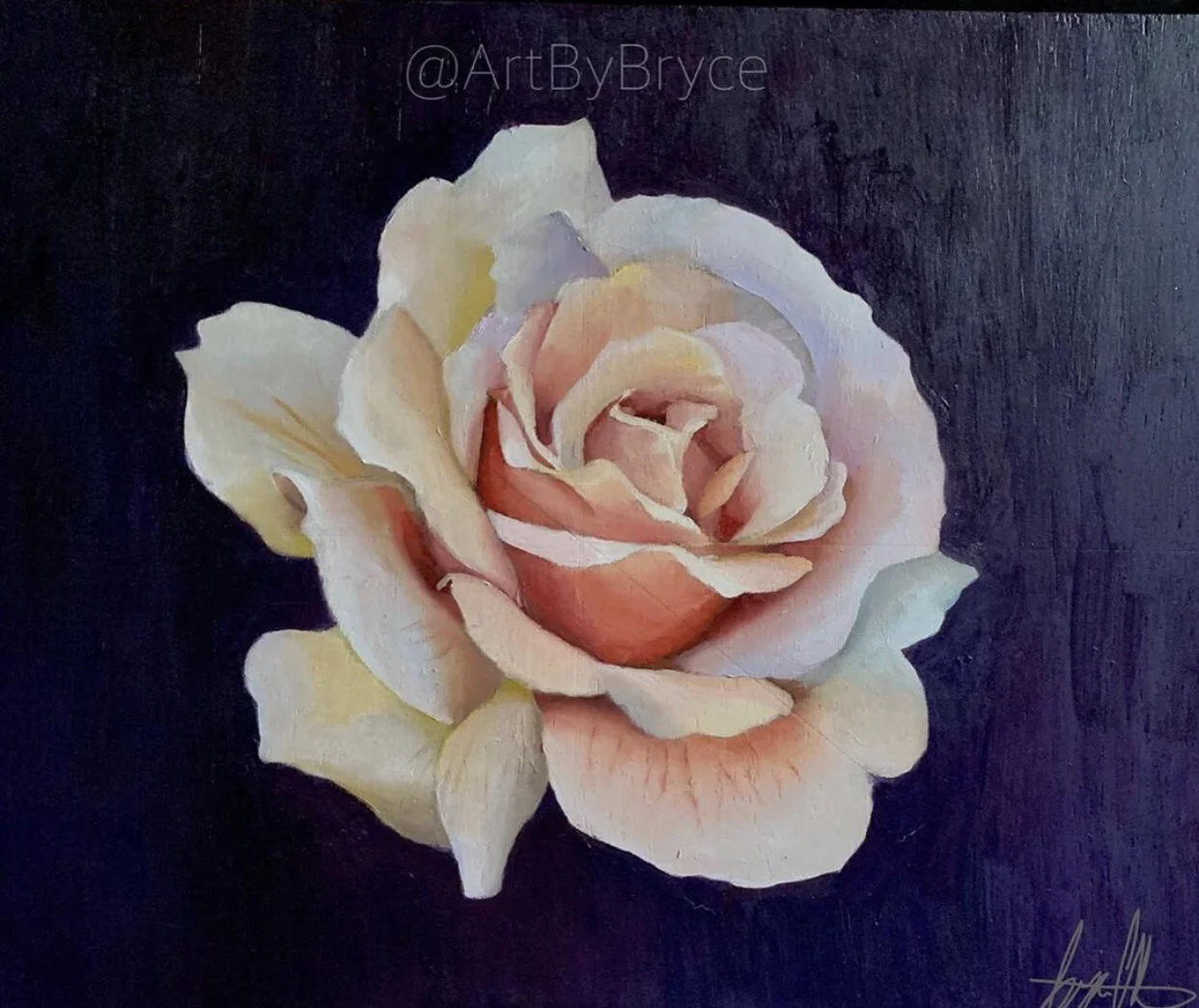 Flower 11x14” Oil on panel
Sold