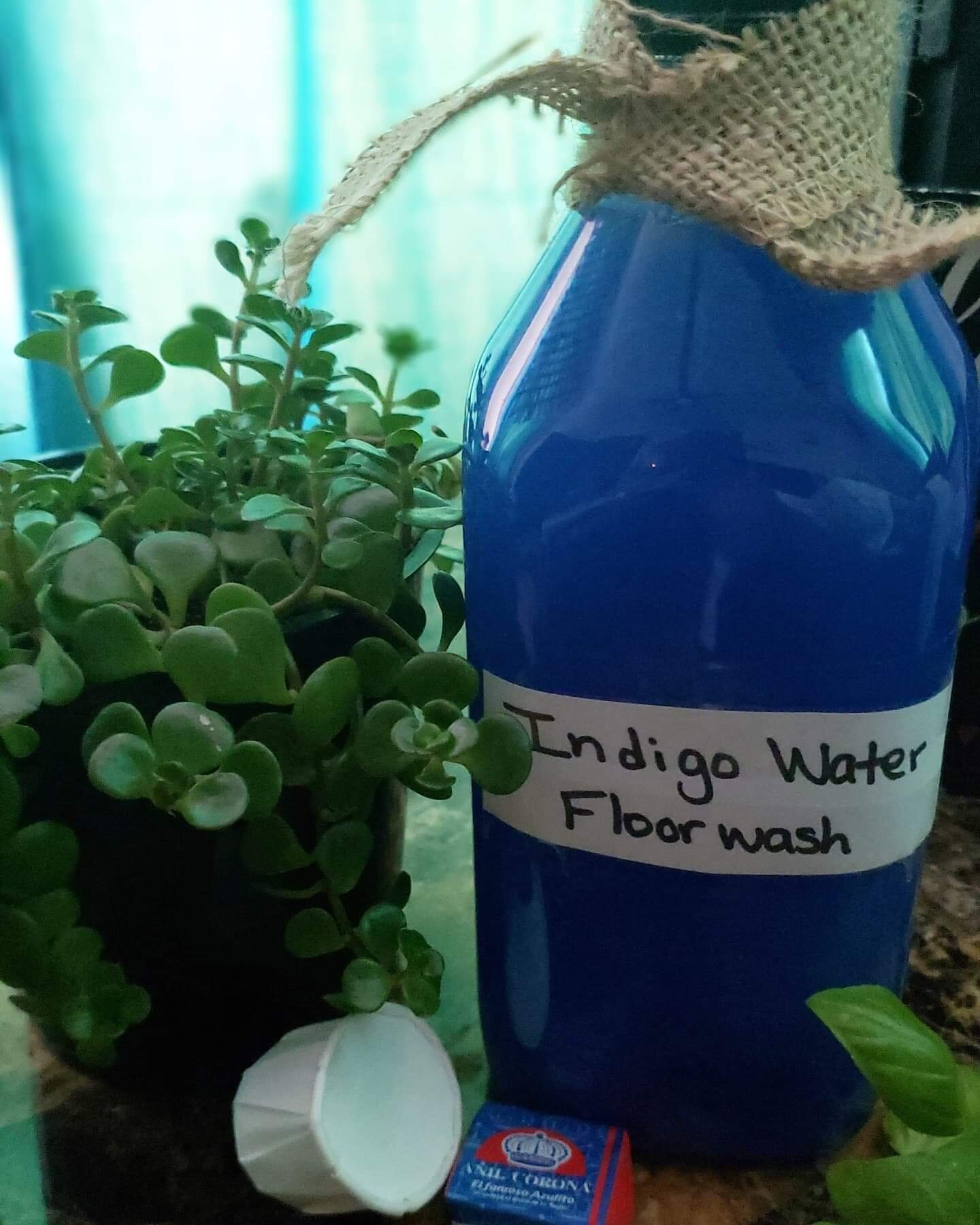 received_315840666436971.jpeg