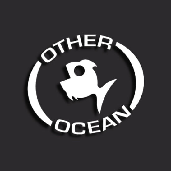 5 Other Ocean.jpg