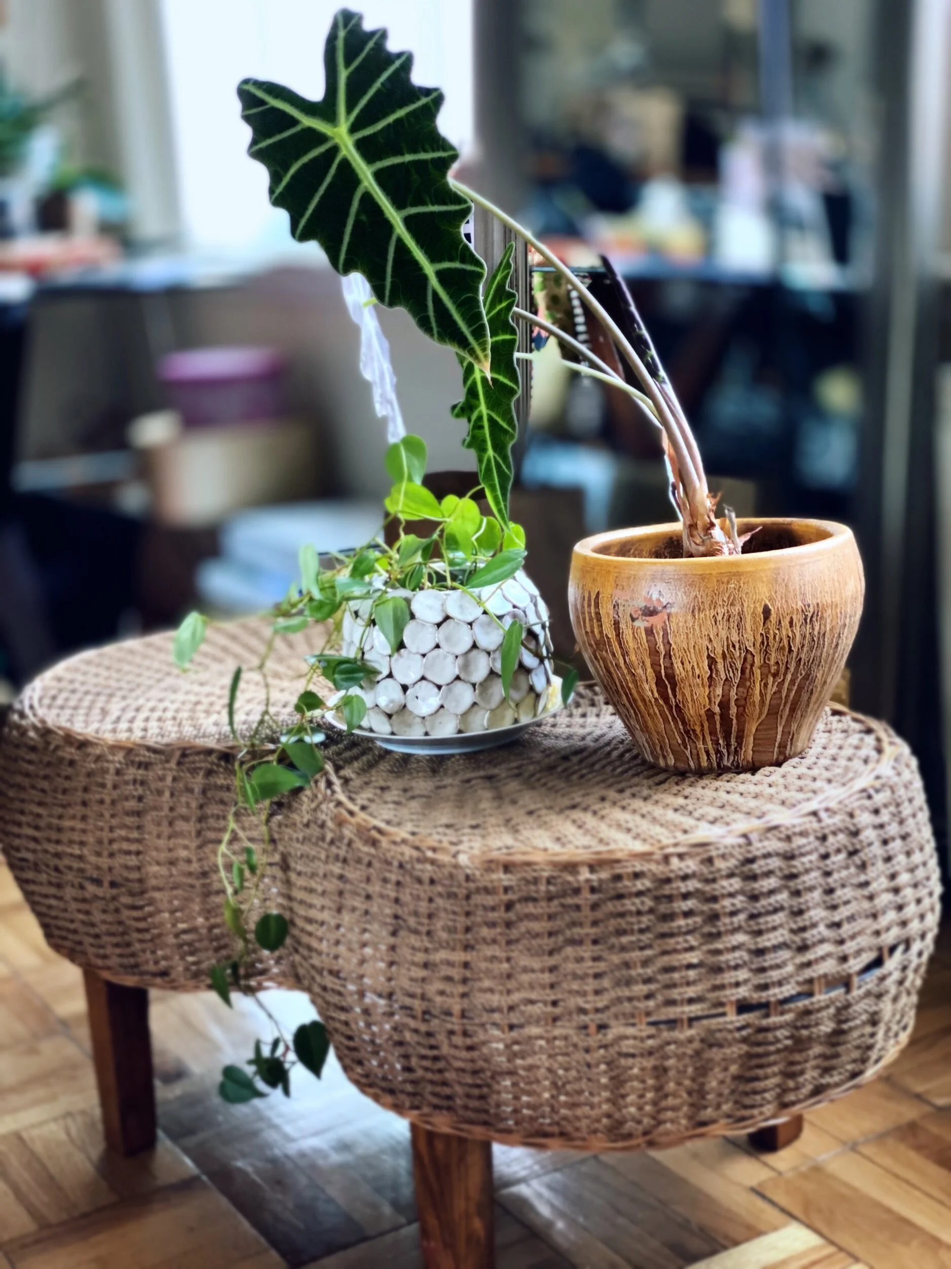 BA67076C-4DC7-4879-98D7-0D9375BCE6C7