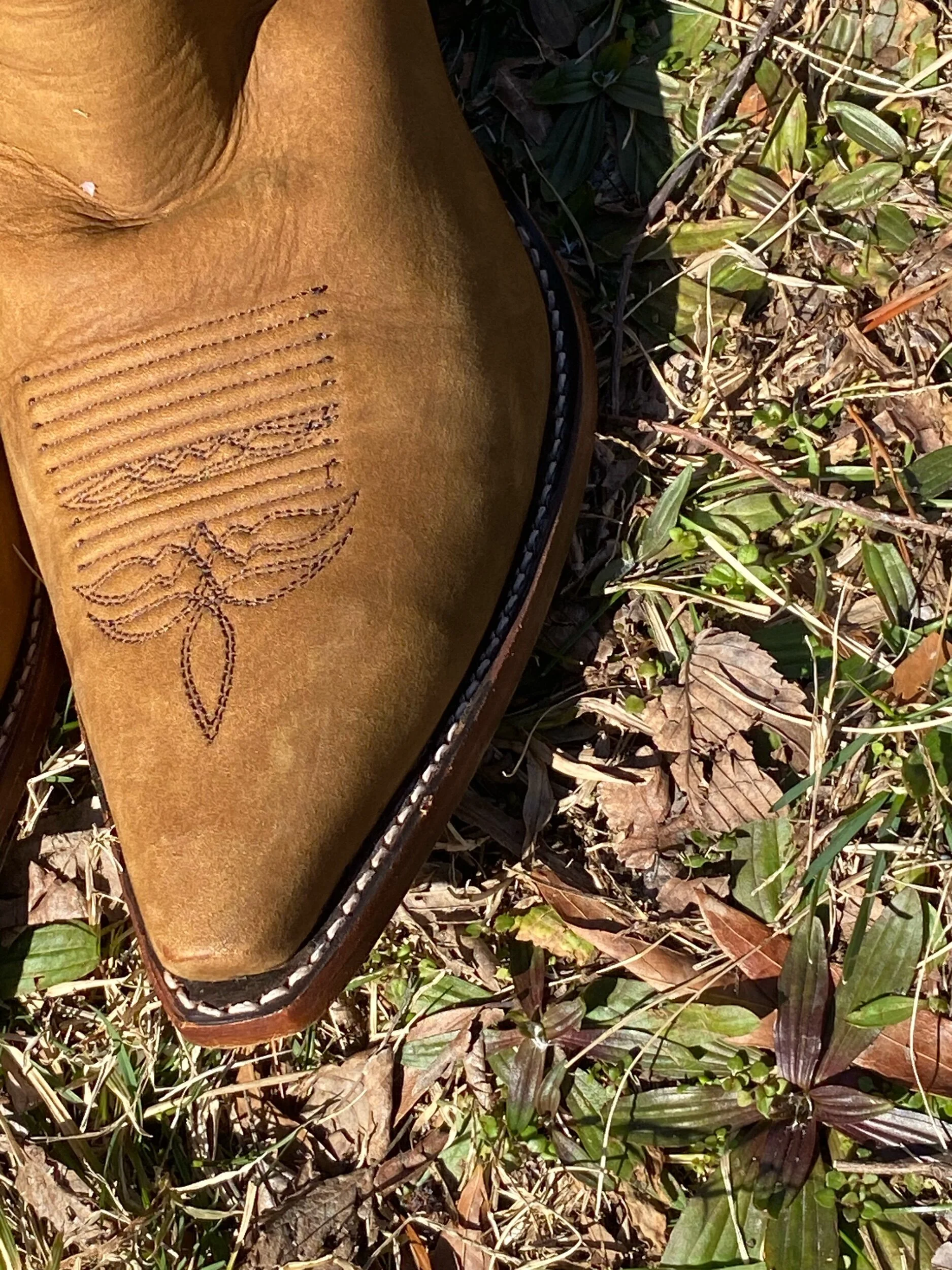 CD076491-DC3E-41D5-9C09-DF4096FBCCF2