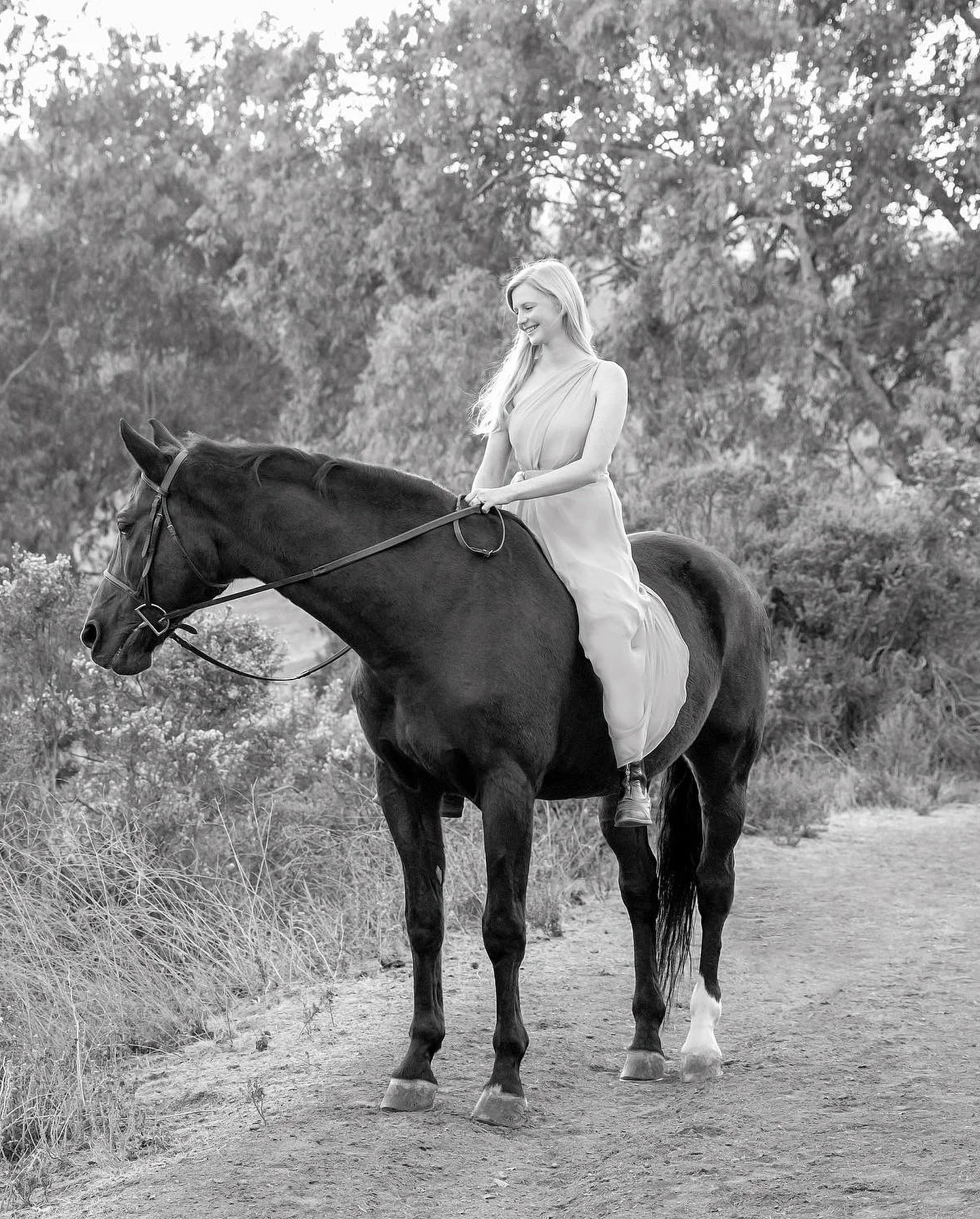 Happy 2026🐎
Wishing everyone health, peace, love and many wonderful memories in the year ahead✨