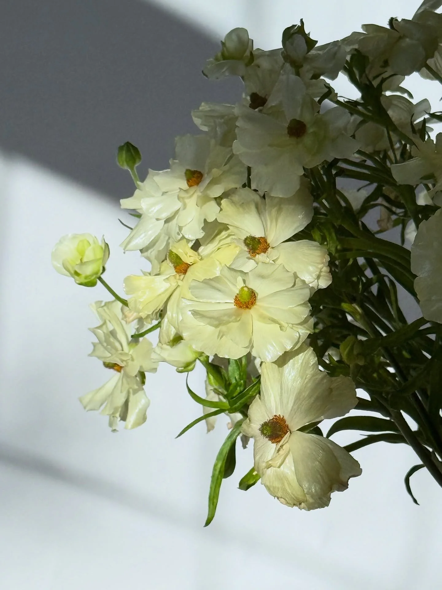 This page has always been about capturing the beauty of family, love, and meaningful moments.
Please forgive me if my recent stories have been heavier and darker than usual. What&rsquo;s happening to my homeland, Iran, has been deeply painful and as 