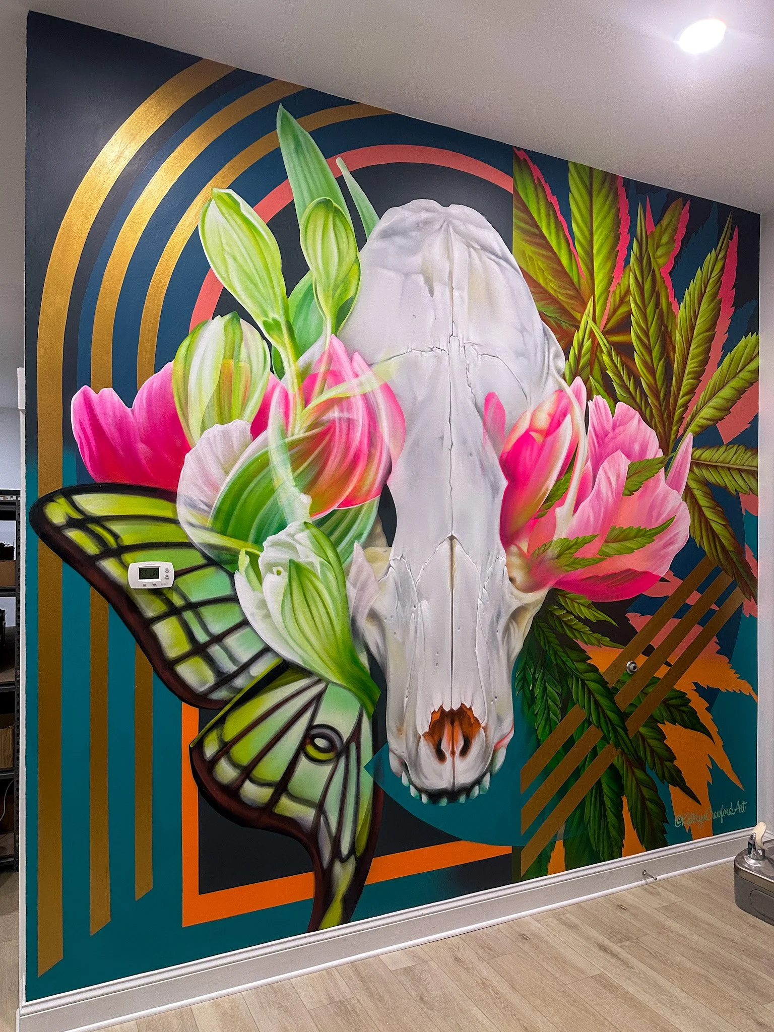 WNC CBD / Swannanoa, NC / 2024