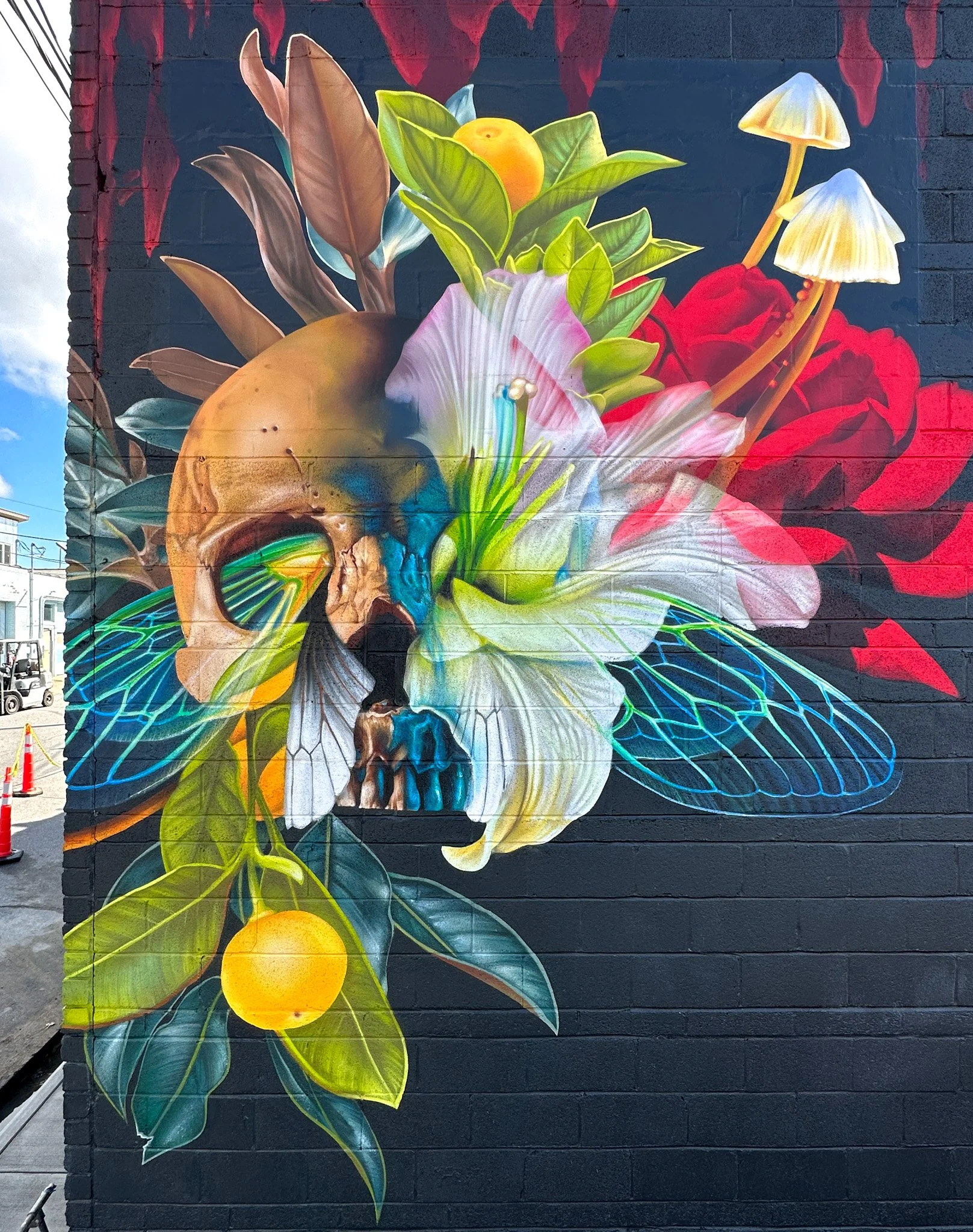 Eulogy / Asheville, NC / October 2023