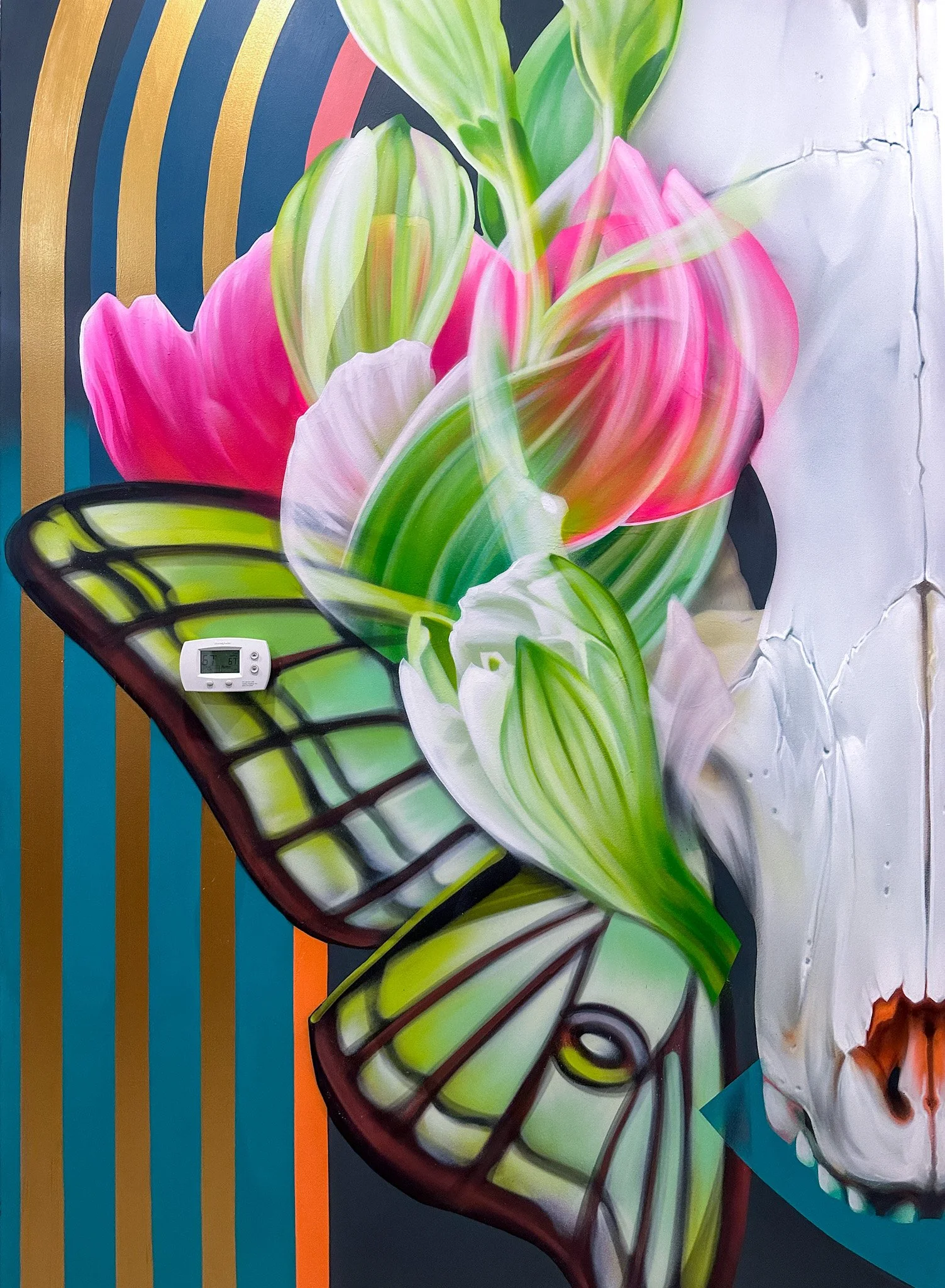 WNC CBD / Swannanoa, NC / 2024