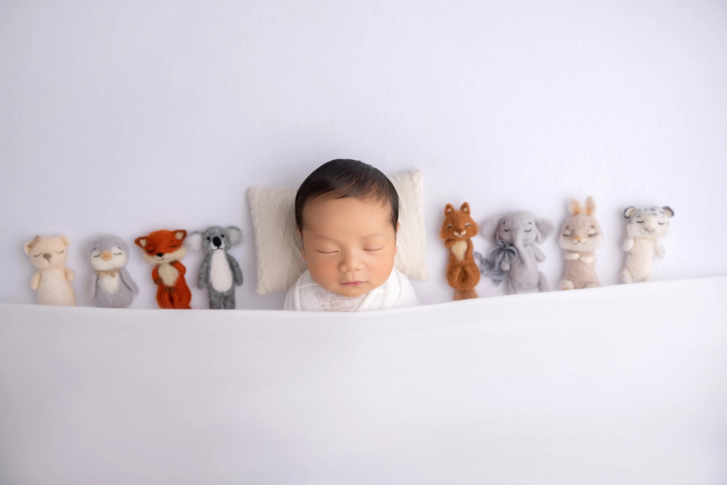 A newborn baby sleeping on a white pillow surrounded by small, colorful stuffed animal toys arranged in a line.