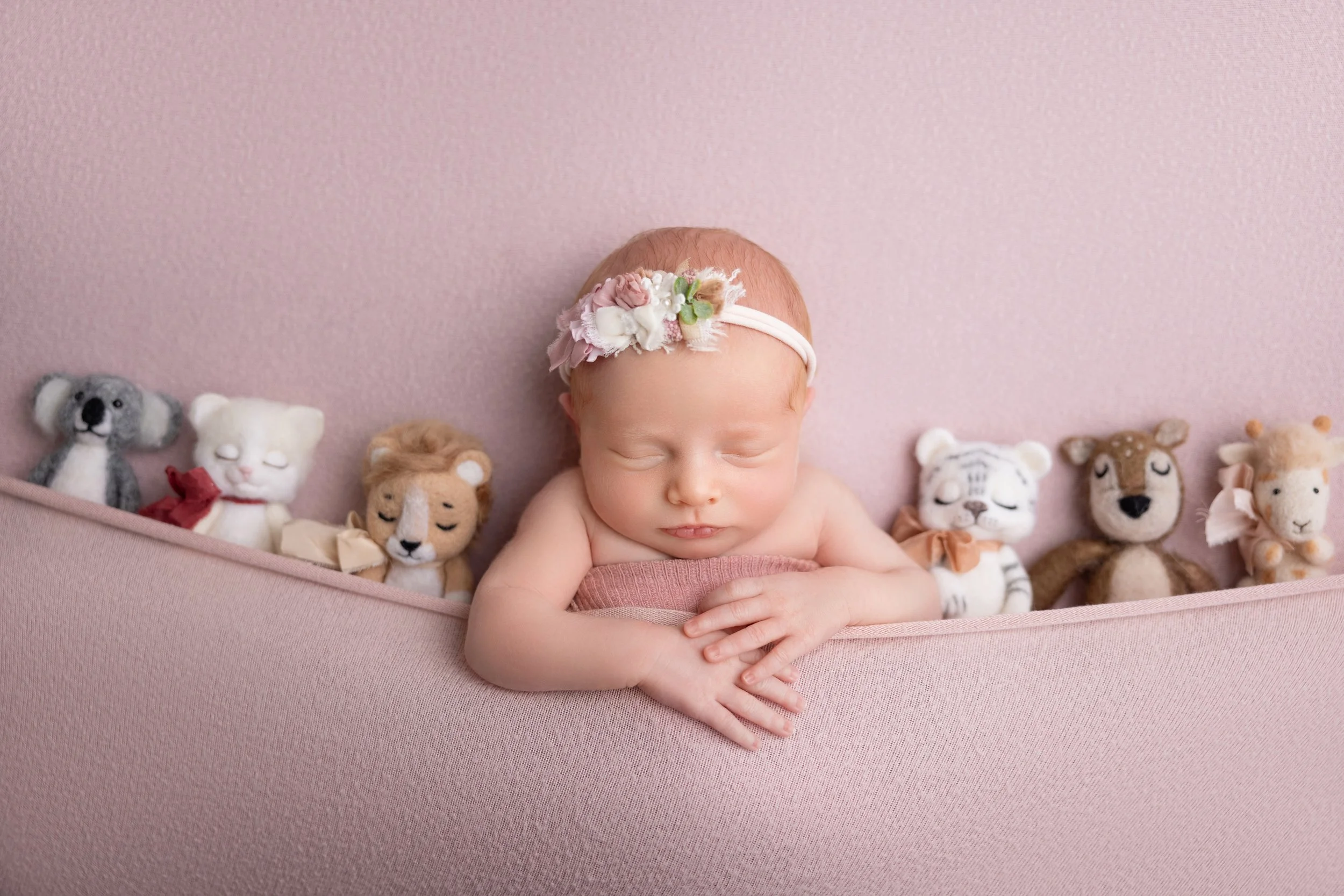 Newborn with Stuffed Animals Photo
Adorable in-home newborn photography in Los Angeles — baby girl surrounded by soft stuffed animal friends, wrapped in blush pink for a cozy, sweet portrait.